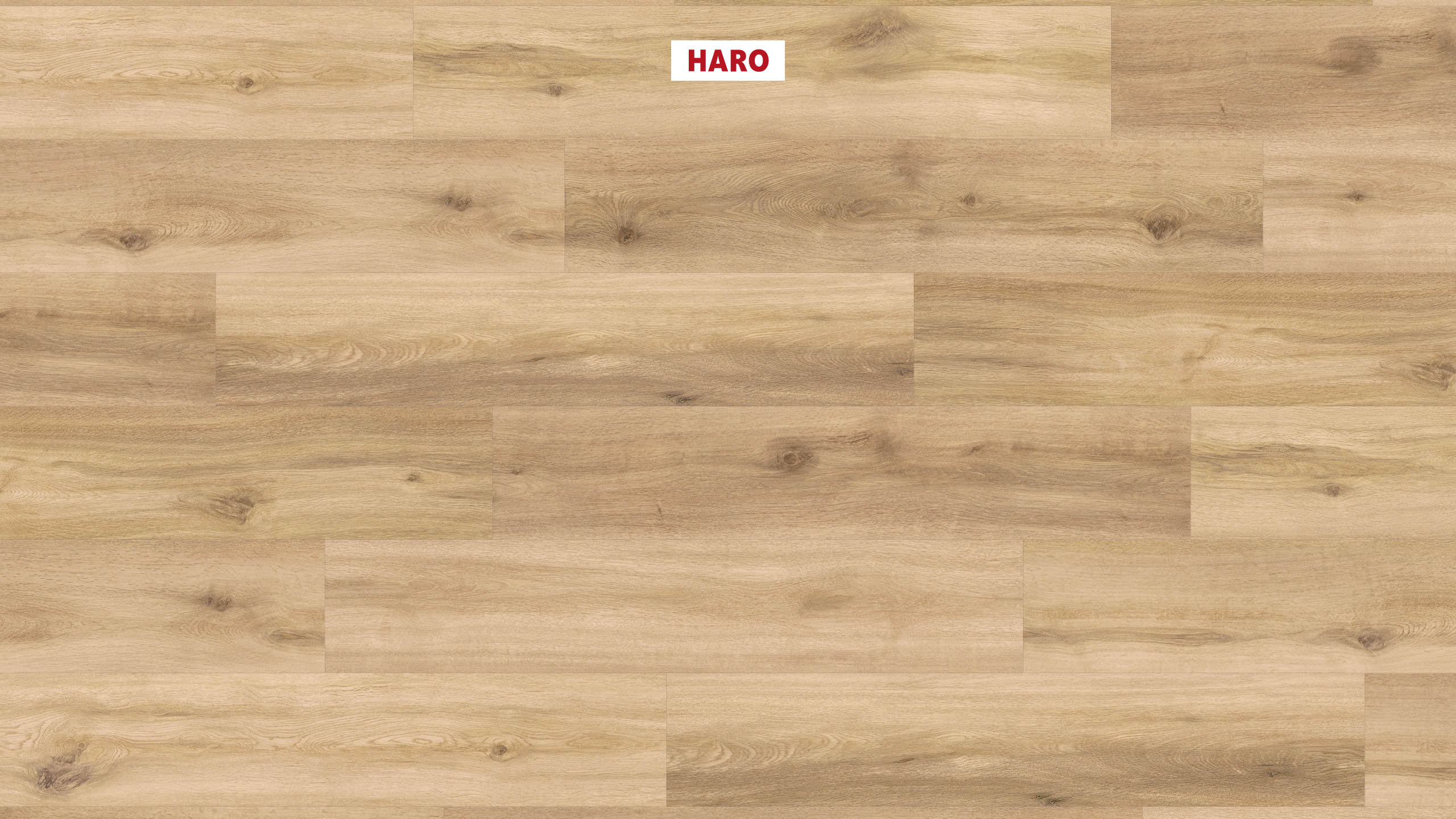 DISANO by HARO Project Plank 4VM Eg Provence puro* authentic