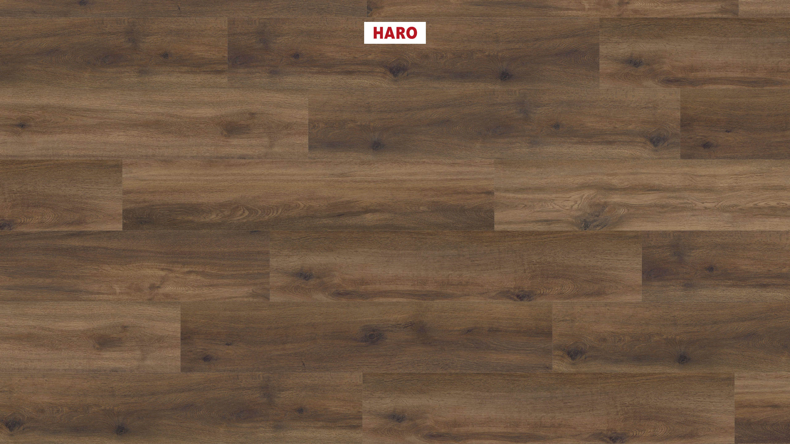 DISANO by HARO Project Plank 4VM Eg Provence chokoladebrun* authentic