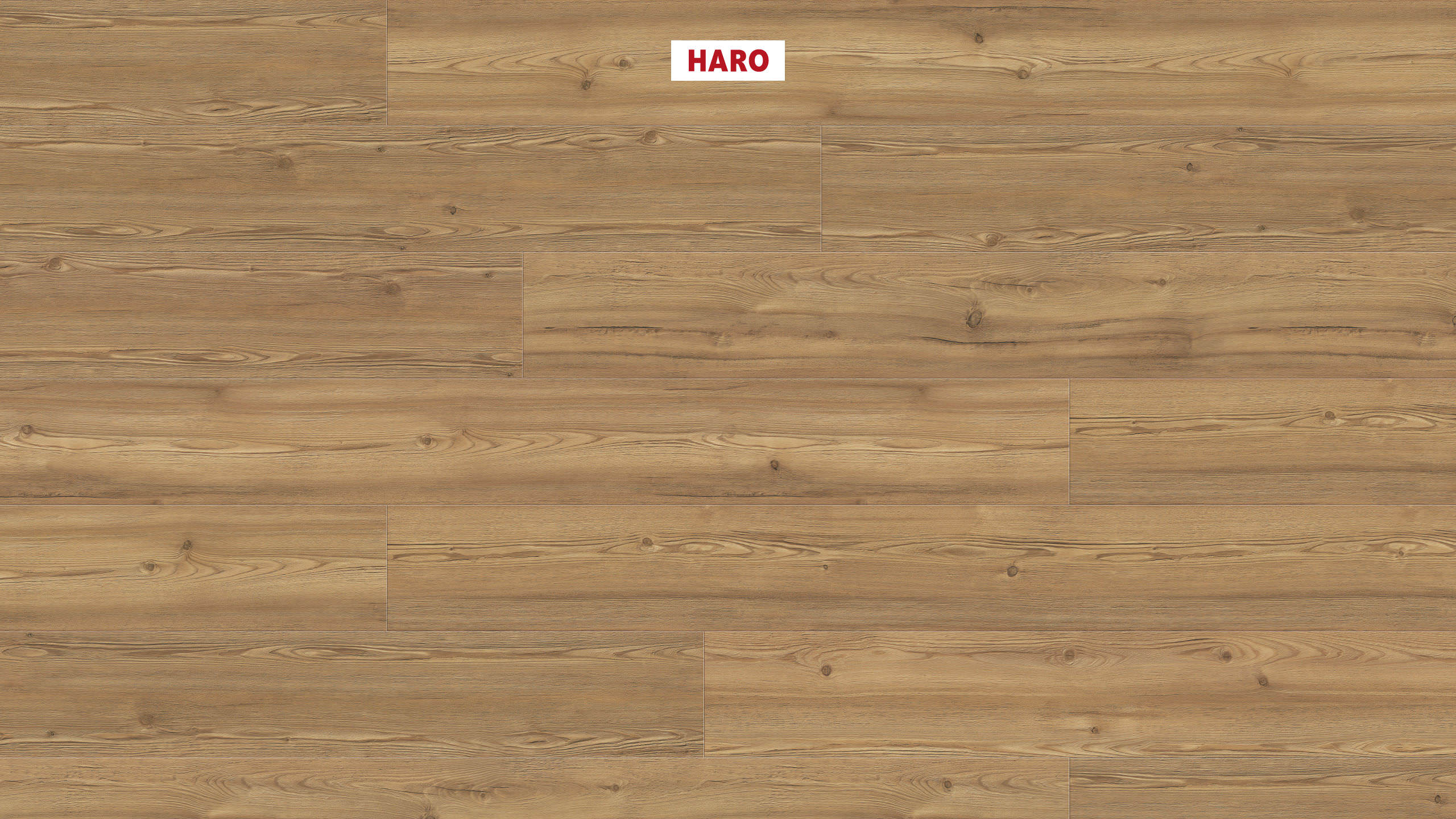 DISANO by HARO LifeAqua Plank XL 4V Bjerglærk cognacbrun* børstet Top Connect