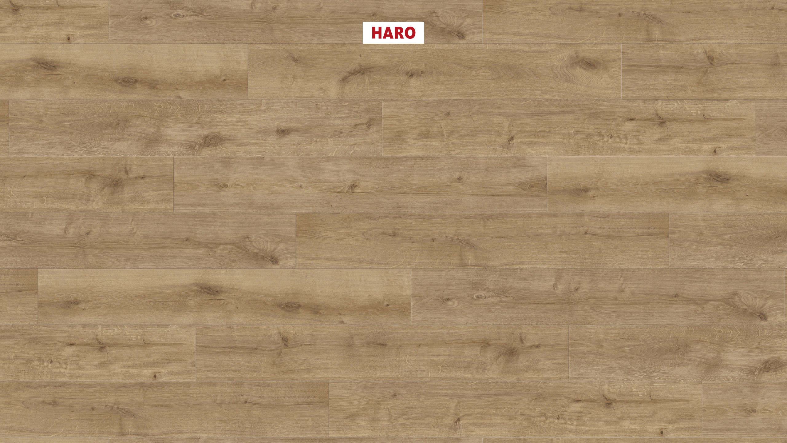 HARO Laminatgulv Specialudgave NKL32 Plank 4V Eg Calla natur* børstet Silent Pro Top Connect