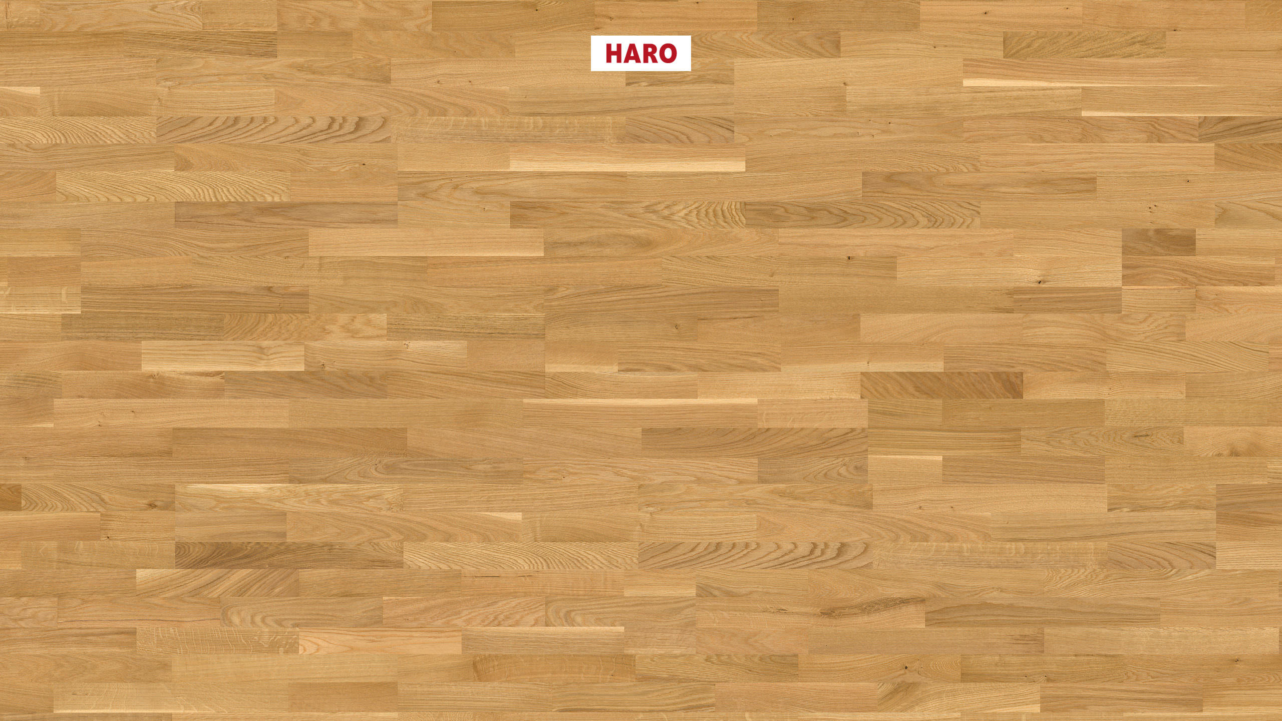 HARO PARKETGULV 4000 3 Stav Eg Family børstet naturaLin plus Top Connect