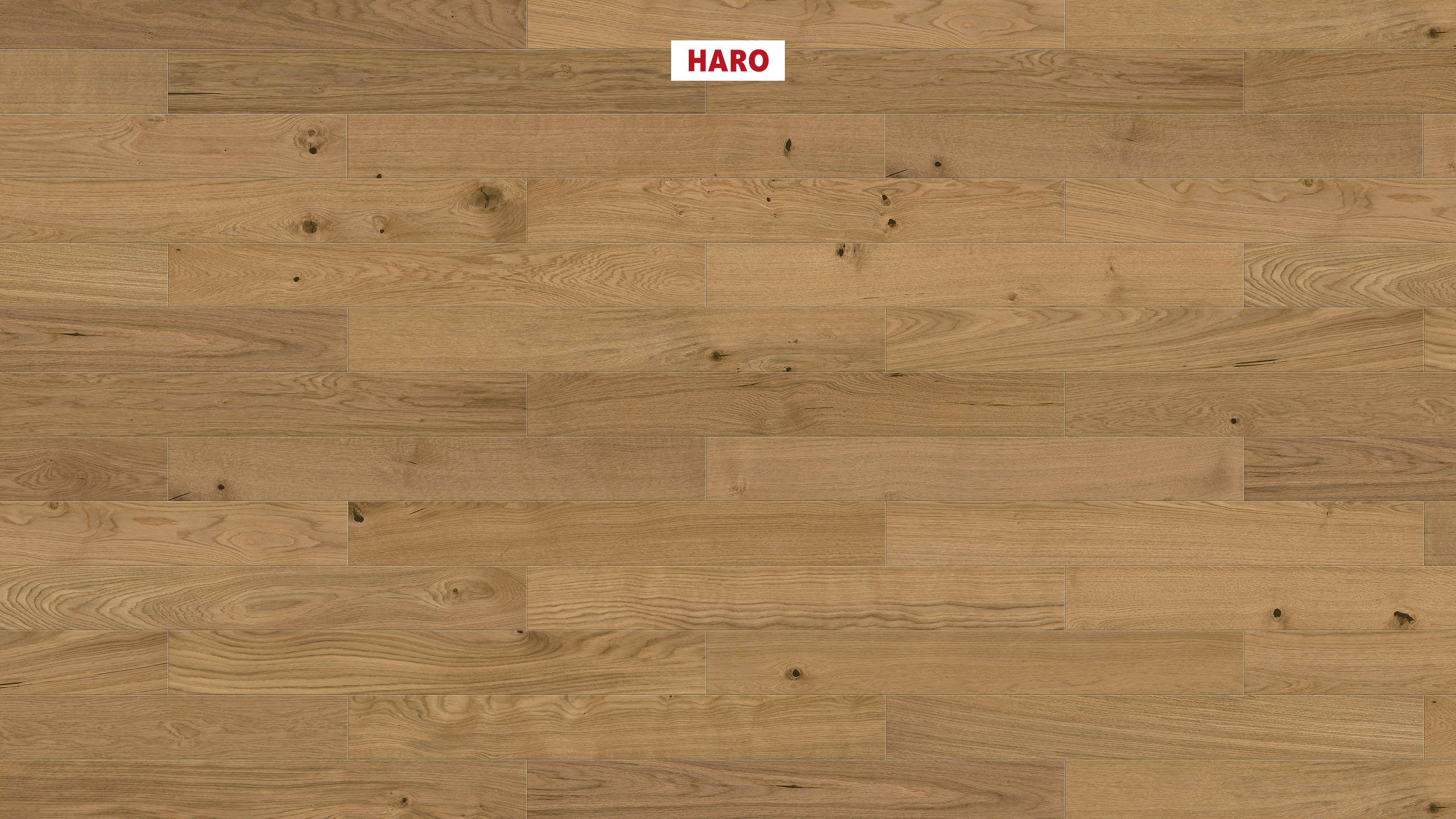 HARO PARKETGULV 3000 ECO Plank 4V Eg Universal børstet naturaLin plus Top Connect
