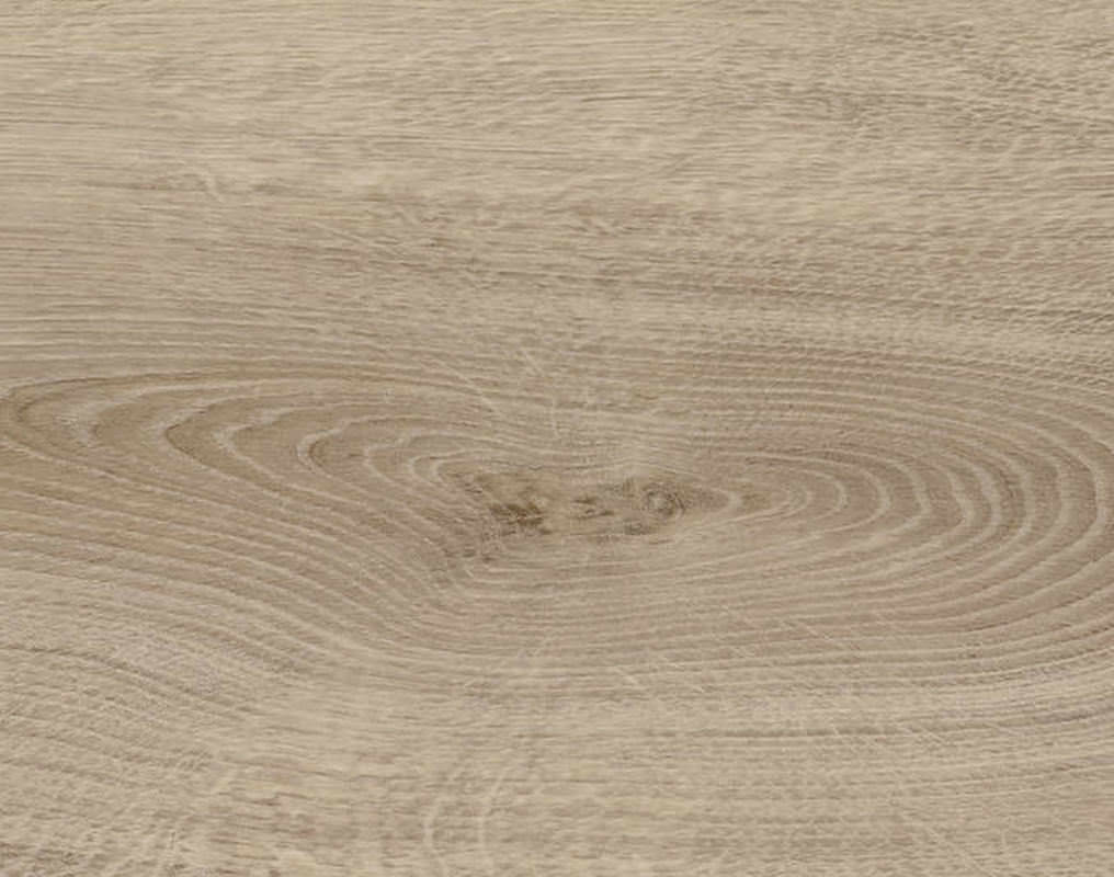 DISANO by HARO LifeAqua Landhausdiele 4V Eiche Sheffield graubraun* authentic Top Connect