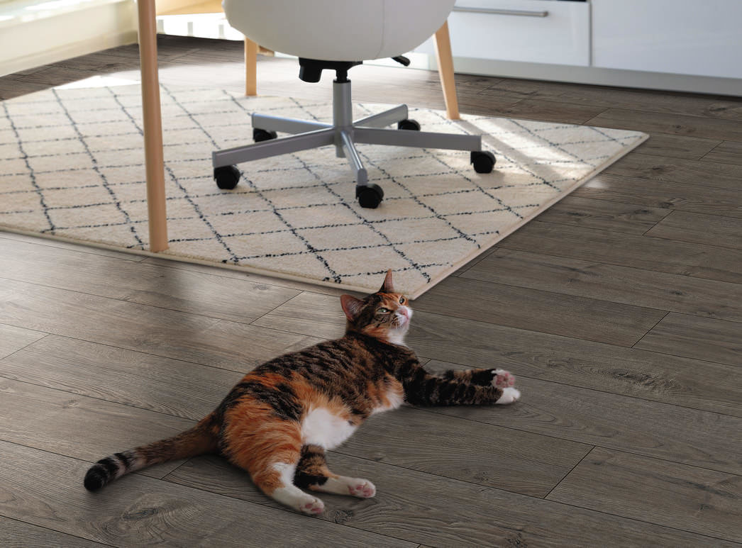 HARO Laminatboden TRITTY 100 Landhausdiele 4V Eiche Portland grau* authentic Top Connect