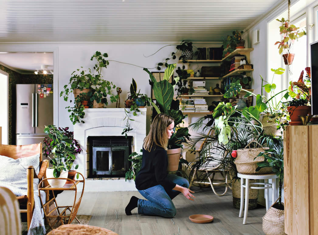 HARO Laminatboden TRITTY 100 Loft 4V Skandinavische Eiche* authentic Top Connect