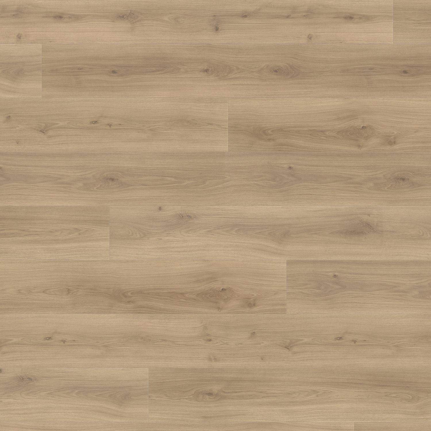 HARO Laminatboden TRITTY 100 Gran Via 4V Eiche Emilia puro* authentic soft Top Connect