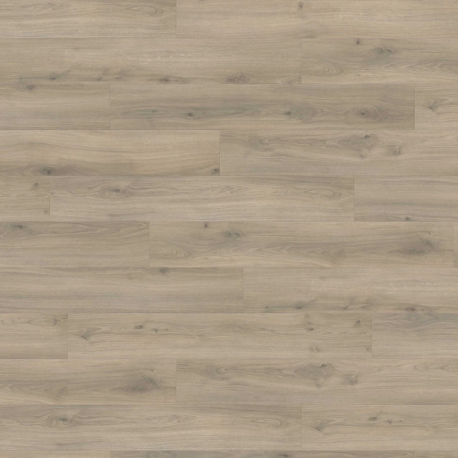 Produktbild 2 Landhausdiele 4V Eiche Emilia samtgrau* authentic soft