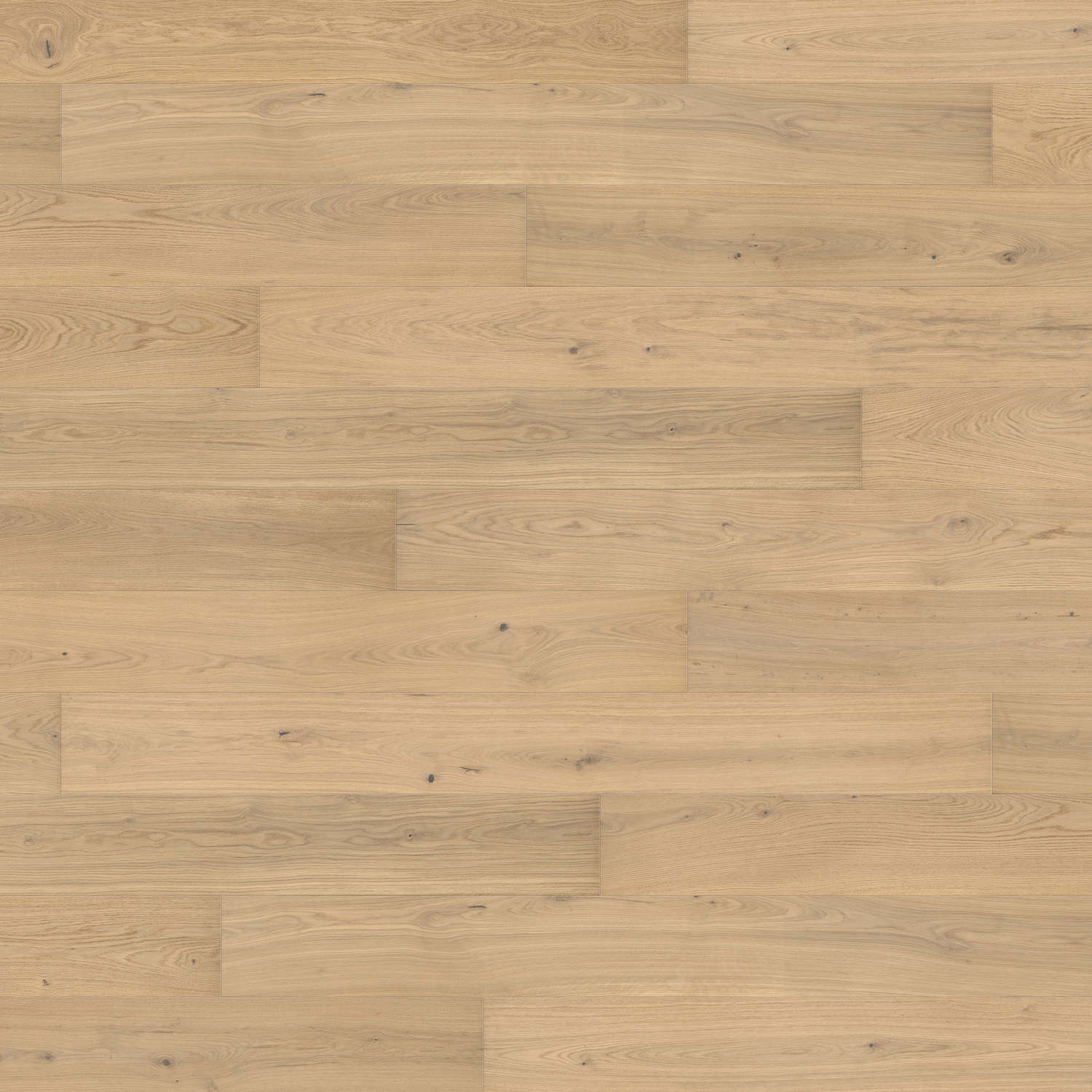 HARO PARKETT 4000 Landhausdiele Plaza 240 4V Eiche lichtweiß Markant strukturiert naturaLin plus Top Connect