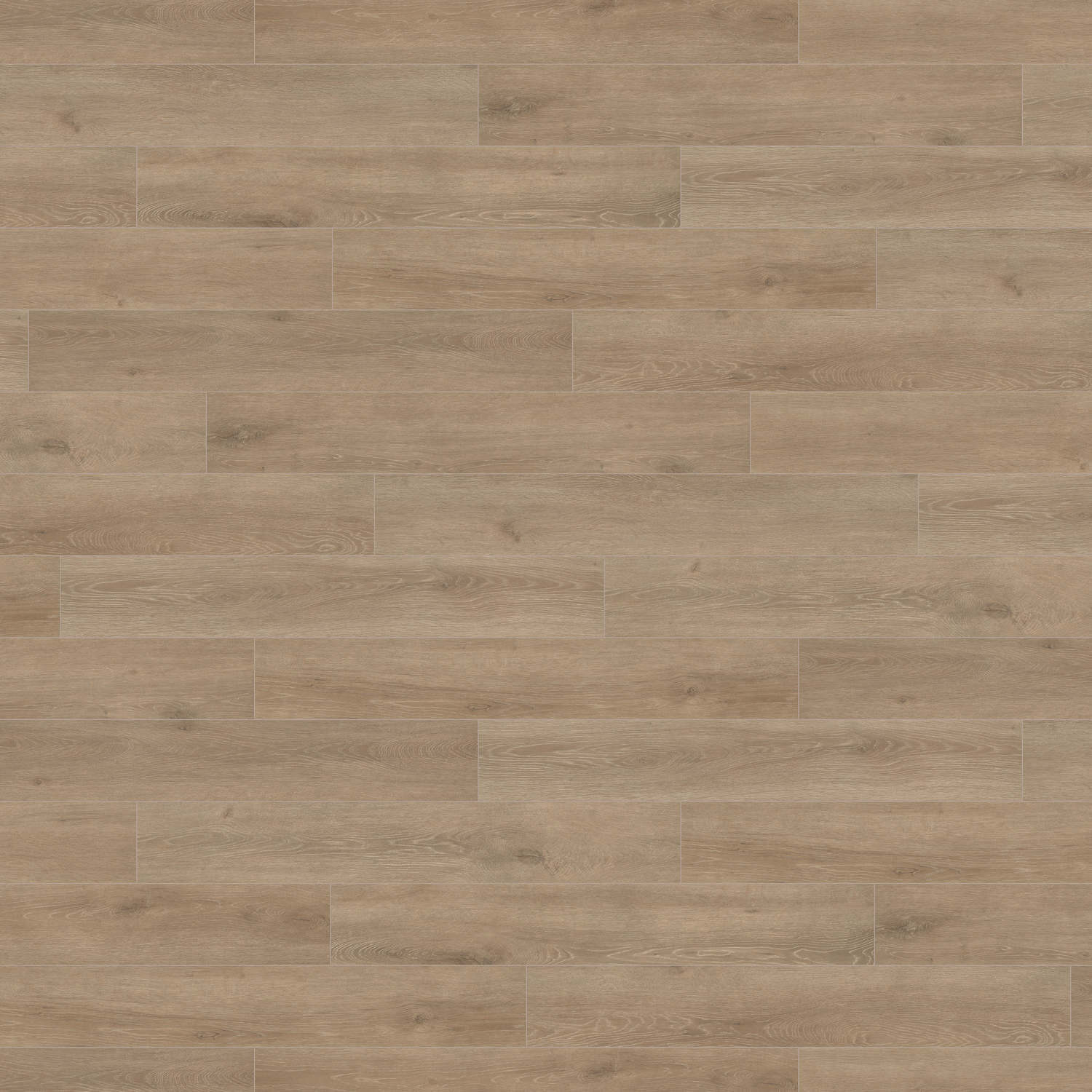 HARO Laminatboden TRITTY 200 Aqua Landhausdiele 4V Eiche Veneto crema* authentic matt Top Connect