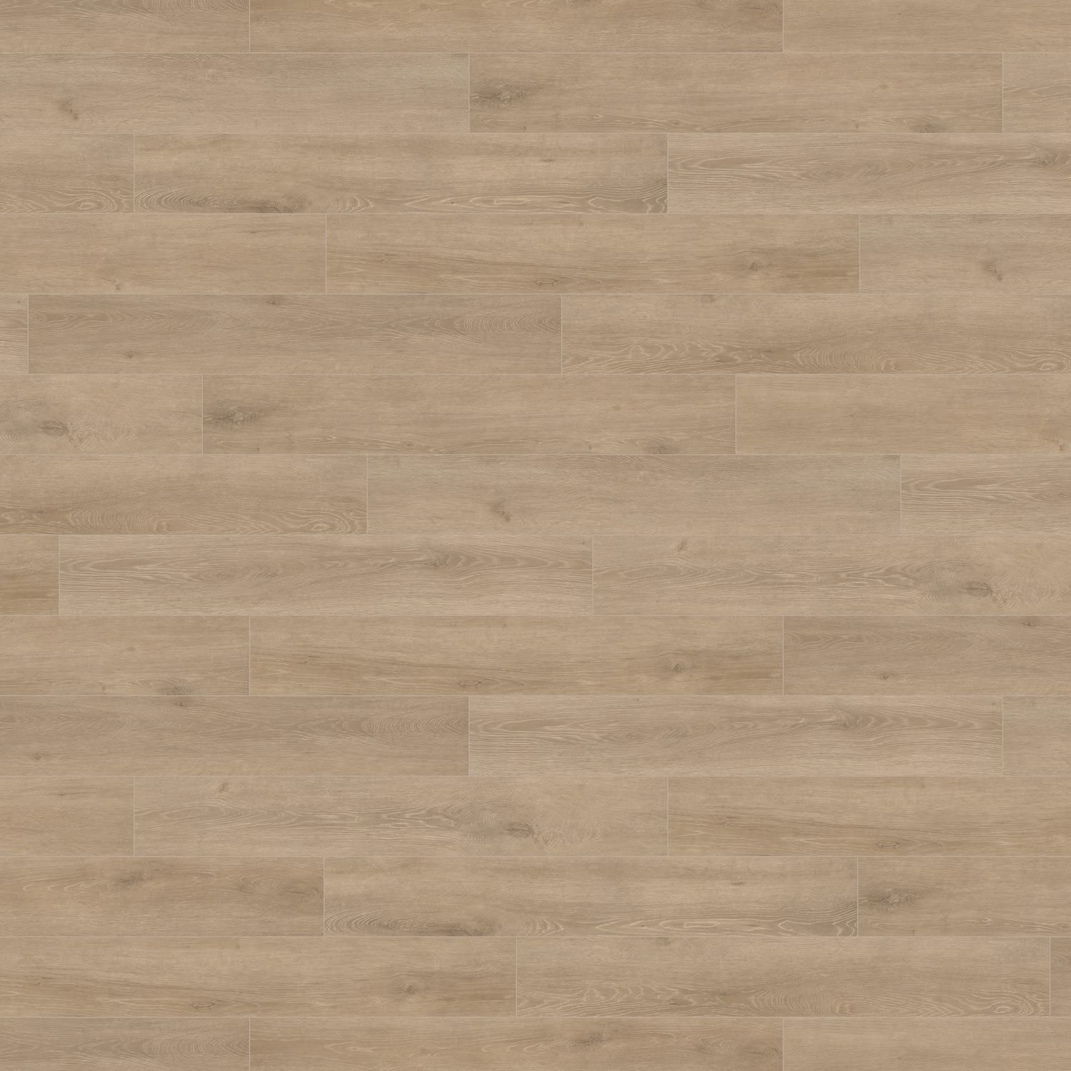 HARO Laminatboden TRITTY 200 Aqua Landhausdiele 4V Eiche Veneto crema* authentic matt Top Connect