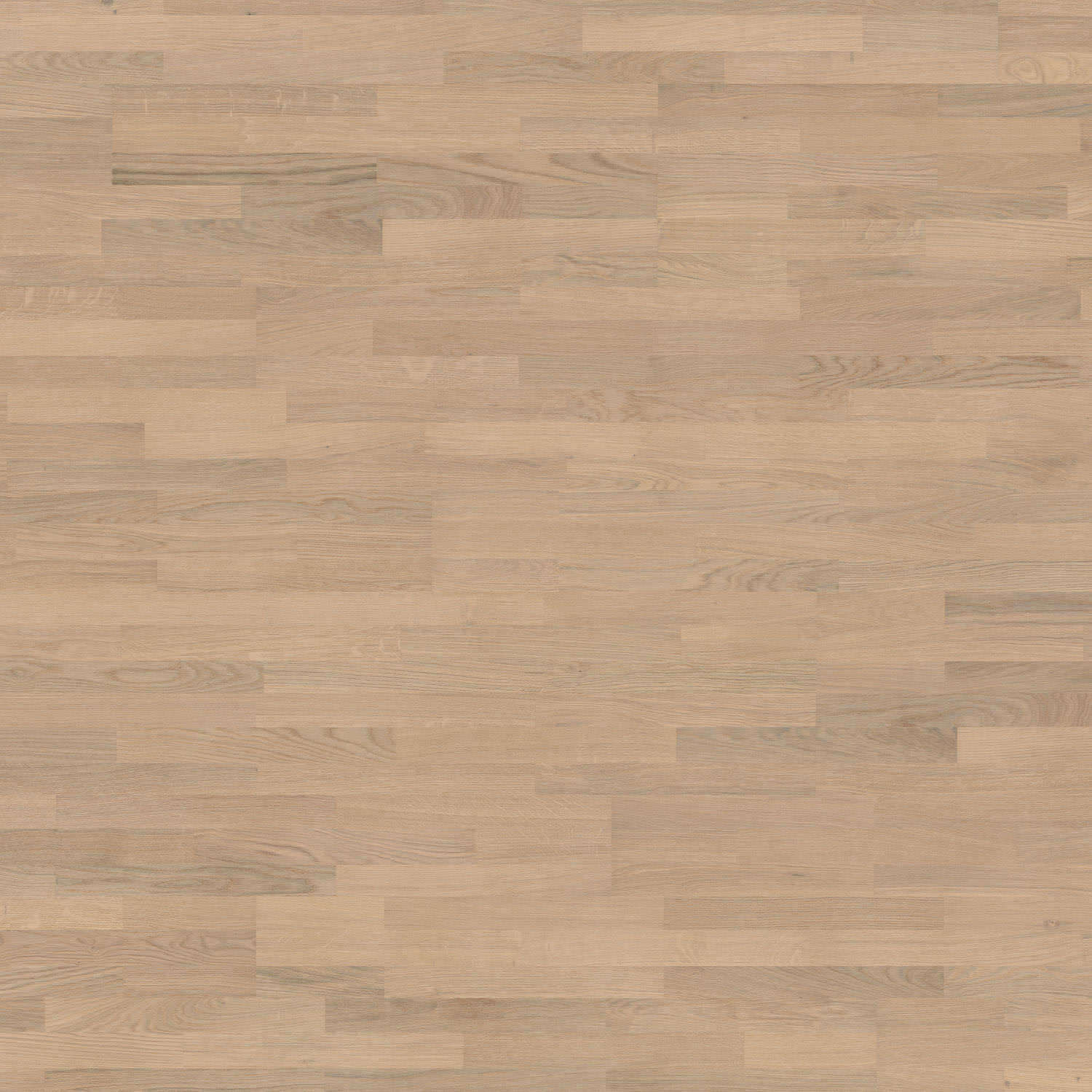 HARO PARKETT 4000 Schiffsboden Eiche lichtweiß Naturale strukturiert naturaLin plus Top Connect