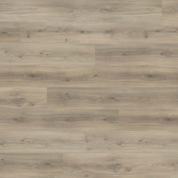 HARO - Gran Via 4V Oak Emilia Velvet Grey* authentic soft
