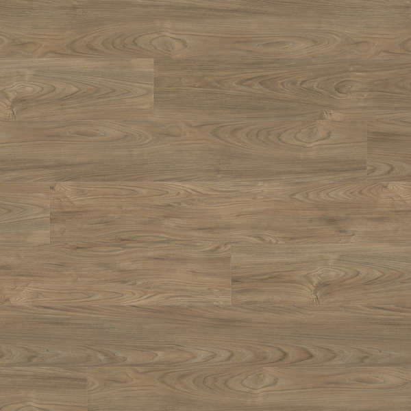 HARO - Gran Via 4V Elm Vario* authentic soft