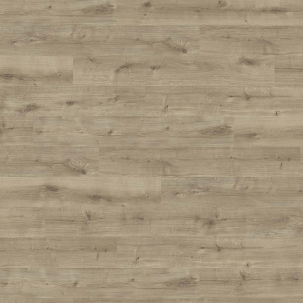 Produktbild 1 Plank 1-Strip 4V Oak Calla Puro* textured