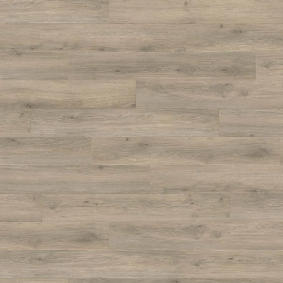 Produktbild HARO Laminatboden TRITTY 200 Aqua Landhausdiele 4V Eiche Emilia samtgrau* authentic soft Top Connect