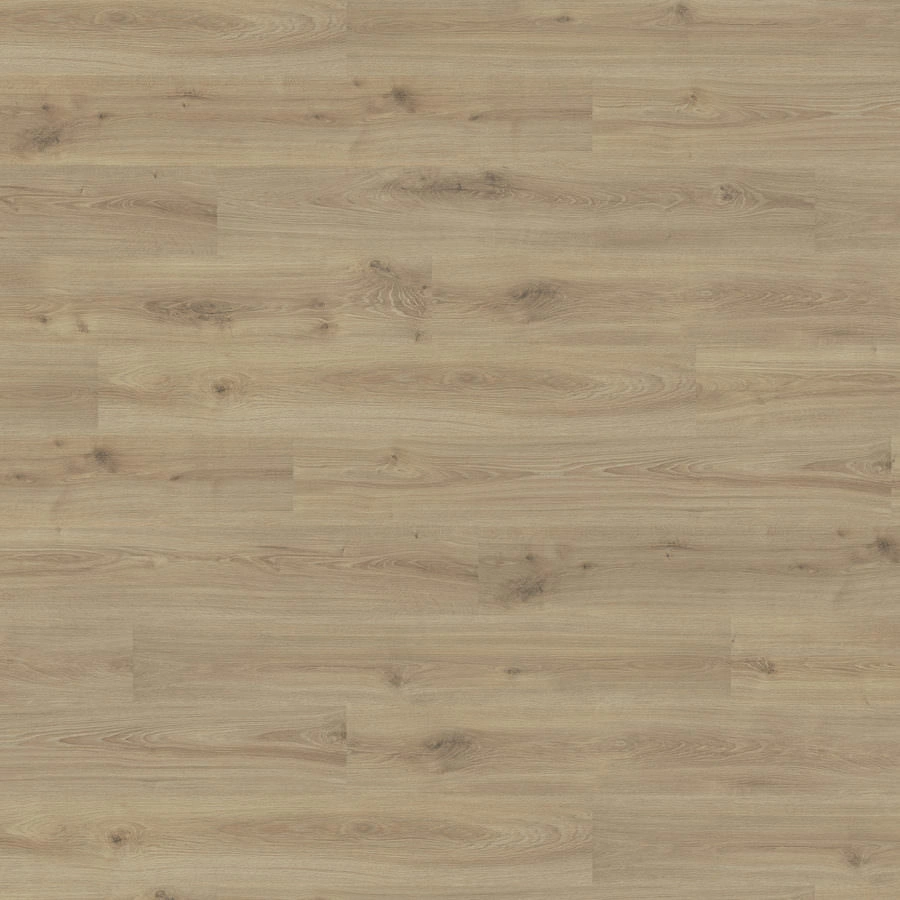 Produktbild HARO Laminatboden Sonderedition NKL31 Landhausdiele Eiche Olbia* strukturiert matt Top Connect