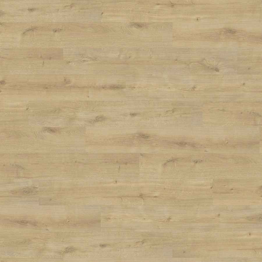 Produktbild HARO Laminatboden Sonderedition NKL31 Landhausdiele Eiche Siena puro* strukturiert matt Top Connect
