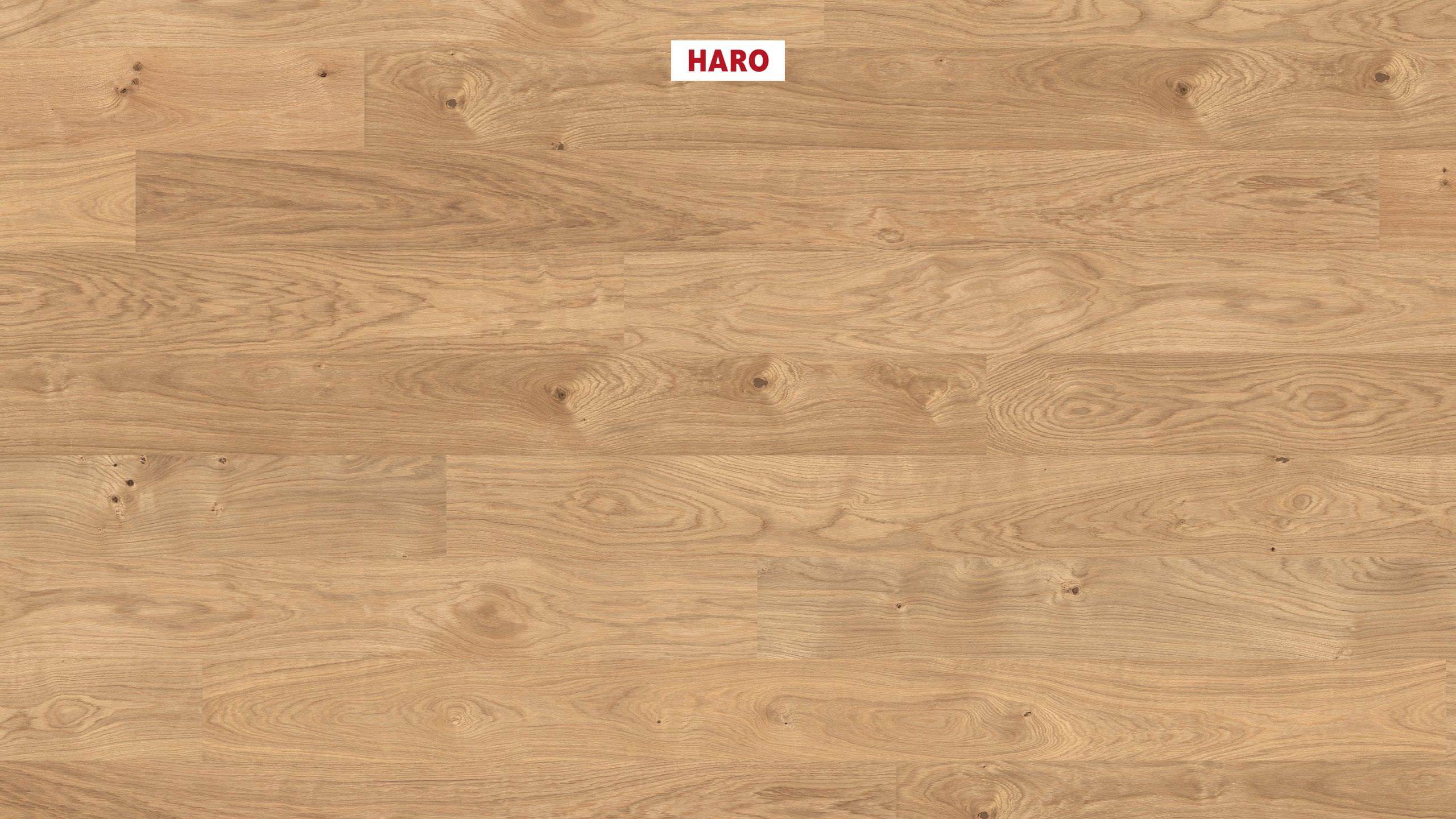 HARO PARKETT 4000 Landhausdiele 180 Eiche Markant permaDur Top Connect