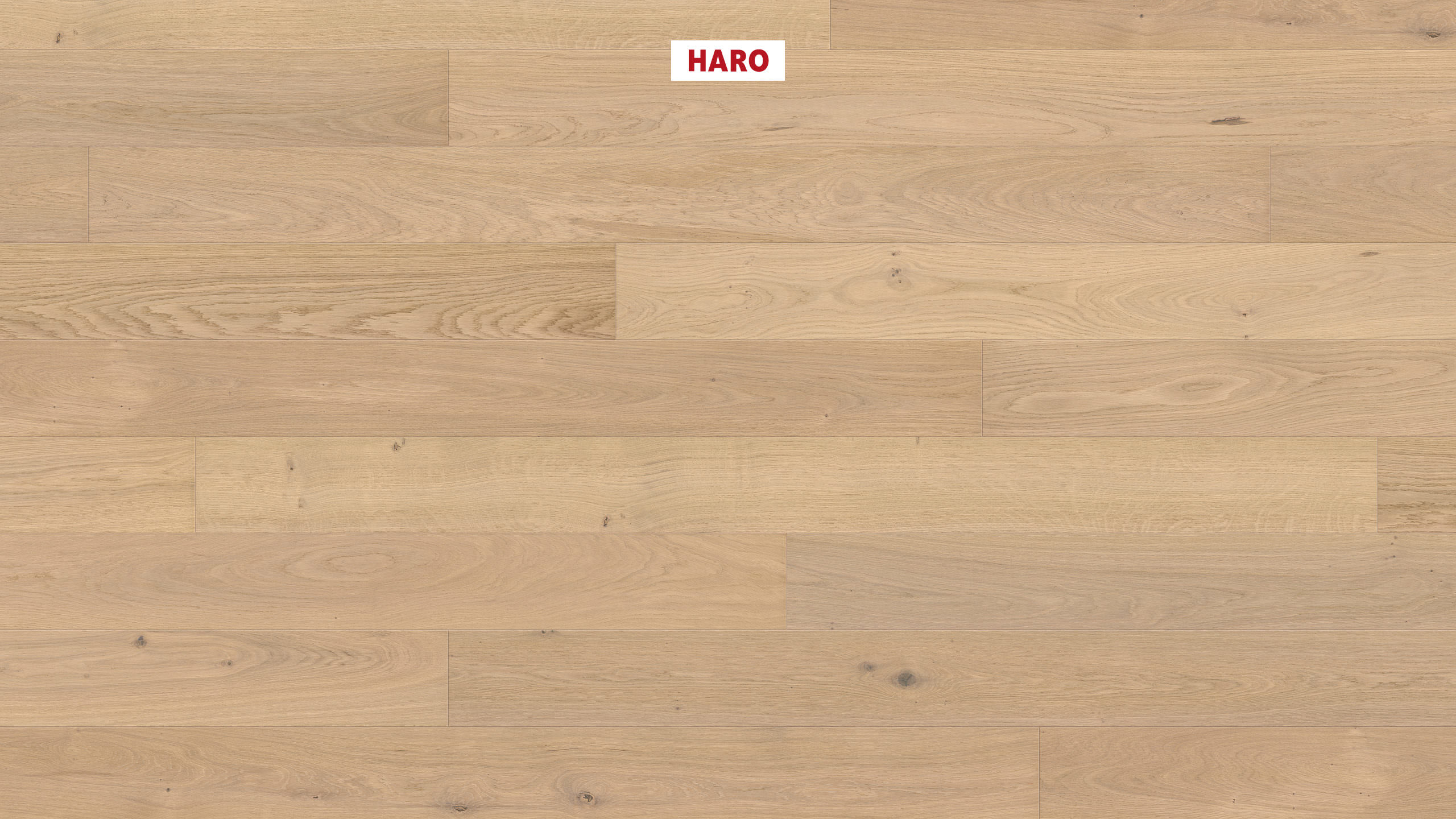 HARO PARKETT 4000 Landhausdiele 180 4V Eiche puroweiß Markant strukturiert naturaLin plus Top Connect