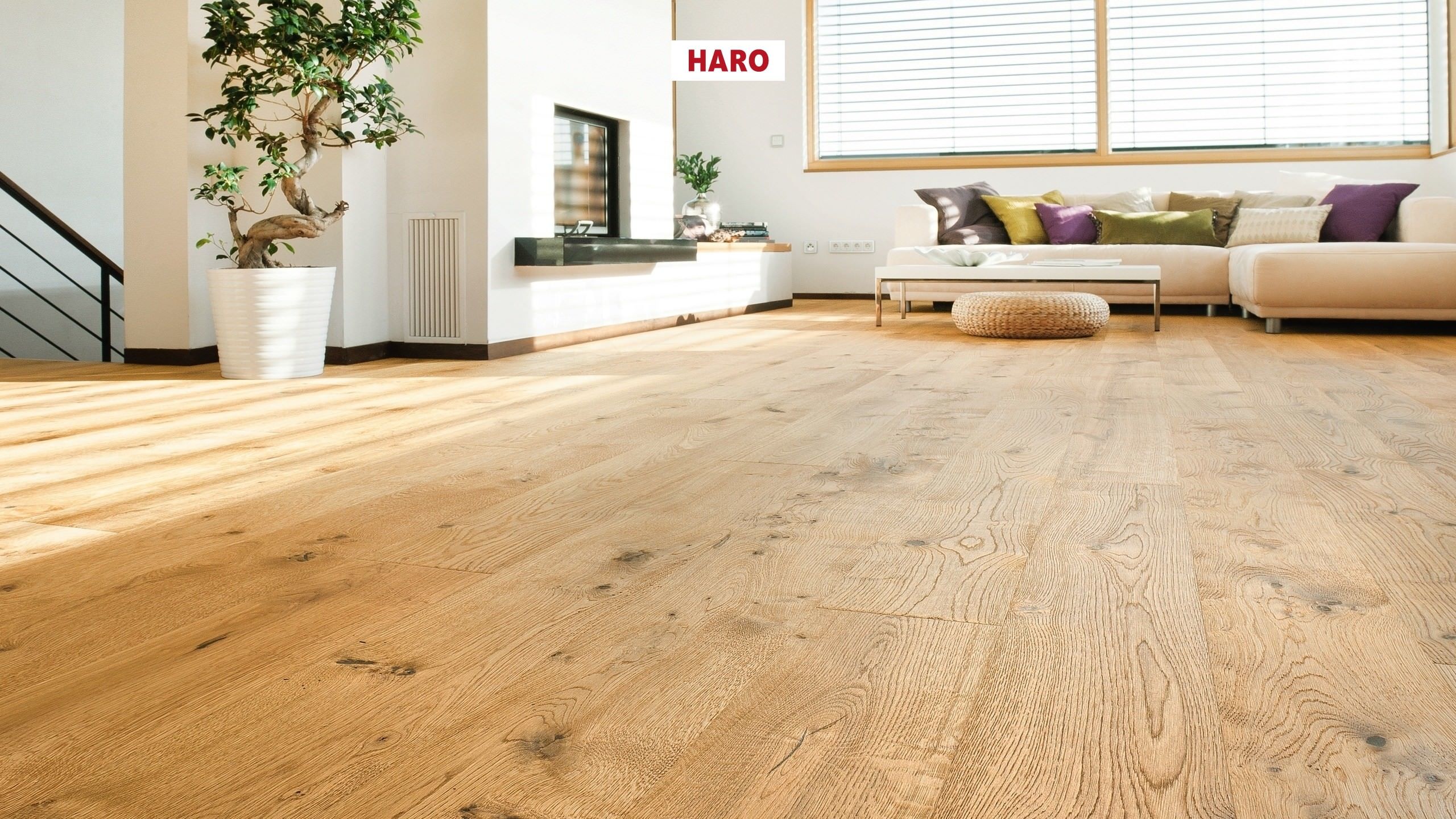 HARO Professional PARKETT 4000 Landhausdiele 4V Eiche rustico retro strukturiert naturaLin plus Top Connect