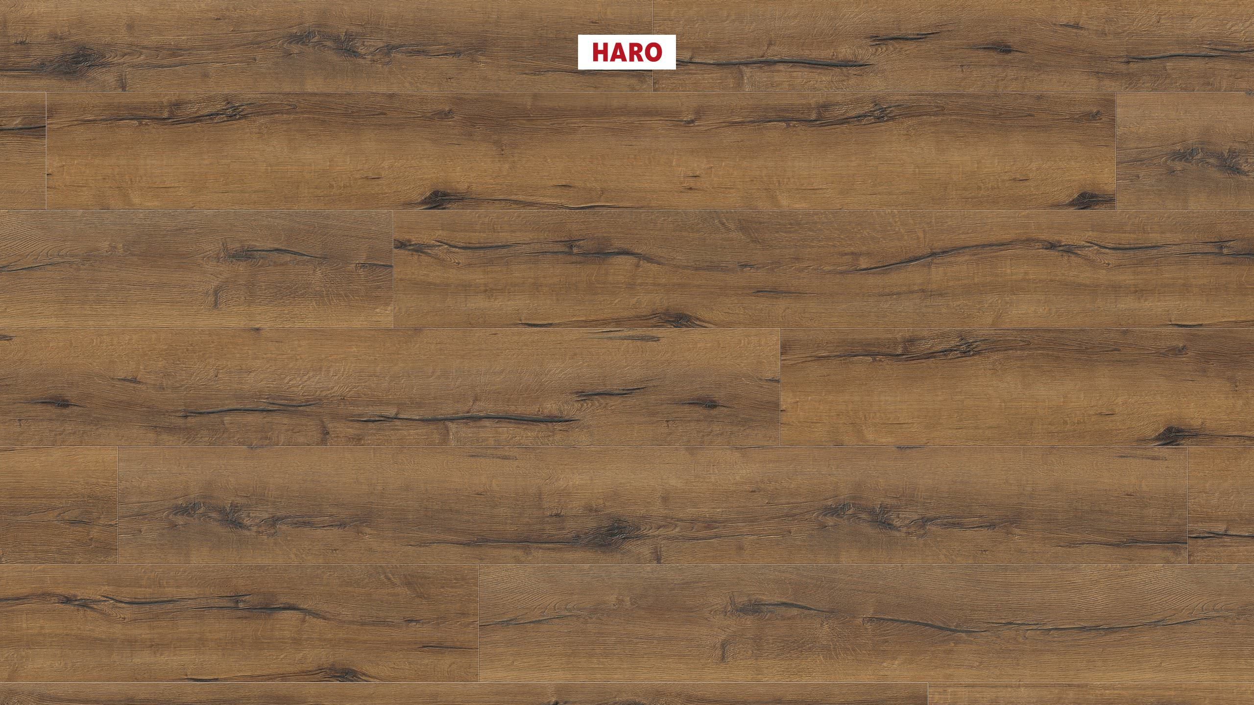 HARO Laminatboden TRITTY 100 Gran Via 4V Eiche italica geräuchert* authentic Silent Pro Top Connect