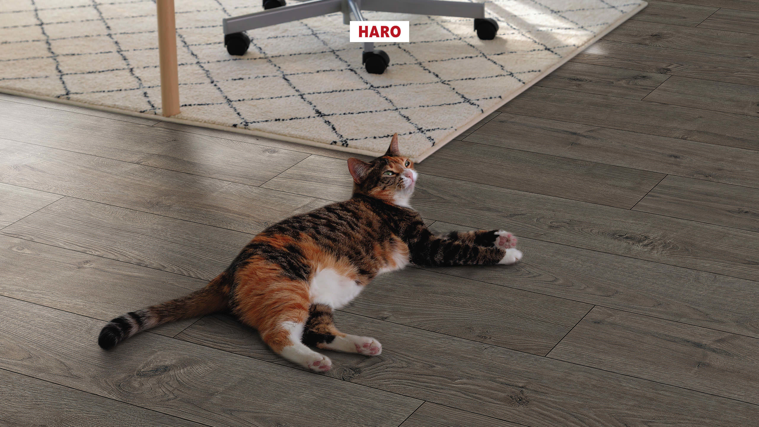 HARO Laminatboden TRITTY 100 Landhausdiele 4V Eiche Portland grau* authentic Top Connect