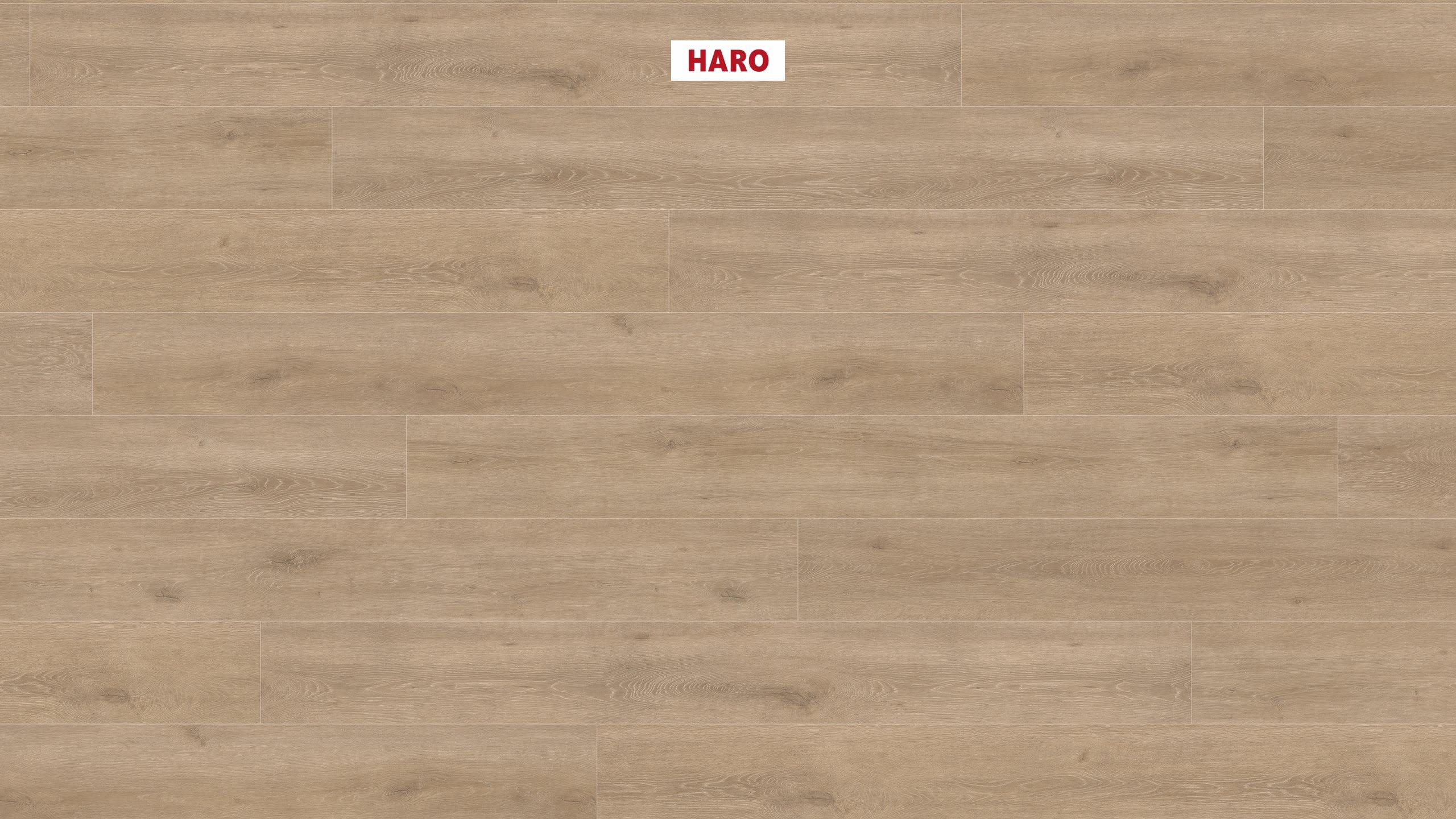 HARO Laminatboden TRITTY 100 Gran Via 4V Eiche Veneto crema* authentic matt Silent Pro Top Connect