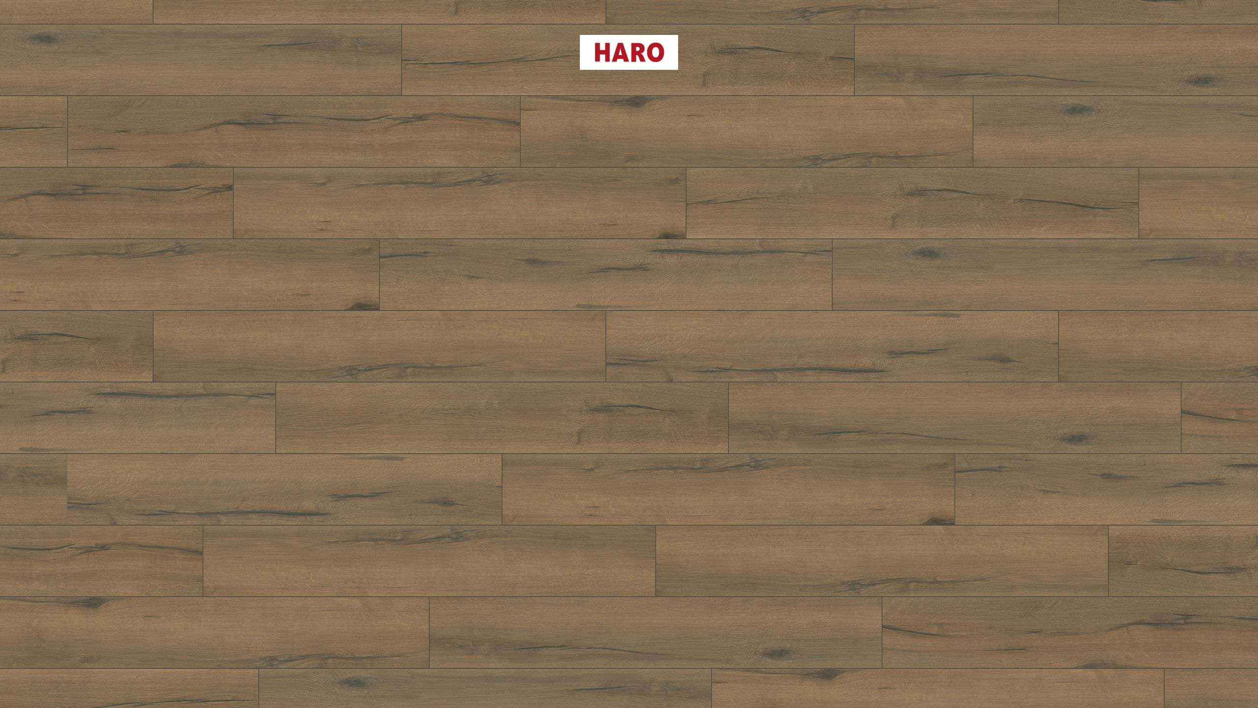 HARO CORKETT Arteo XL 4V Eiche italica geräuchert* strukturiert permaDur Top Connect