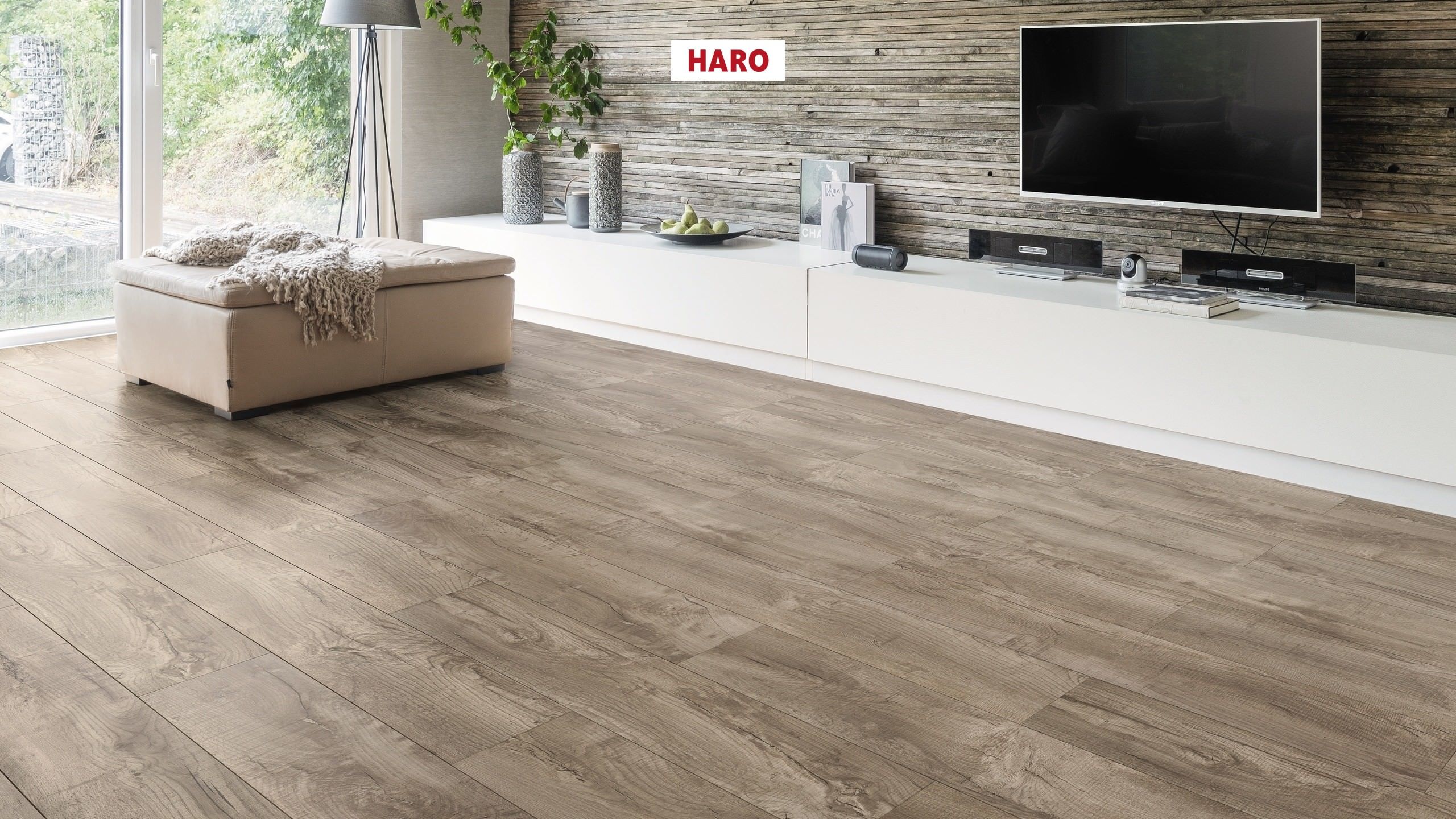 HARO CORKETT Arteo XL 4V Shabby Oak grau* strukturiert permaDur Top Connect
