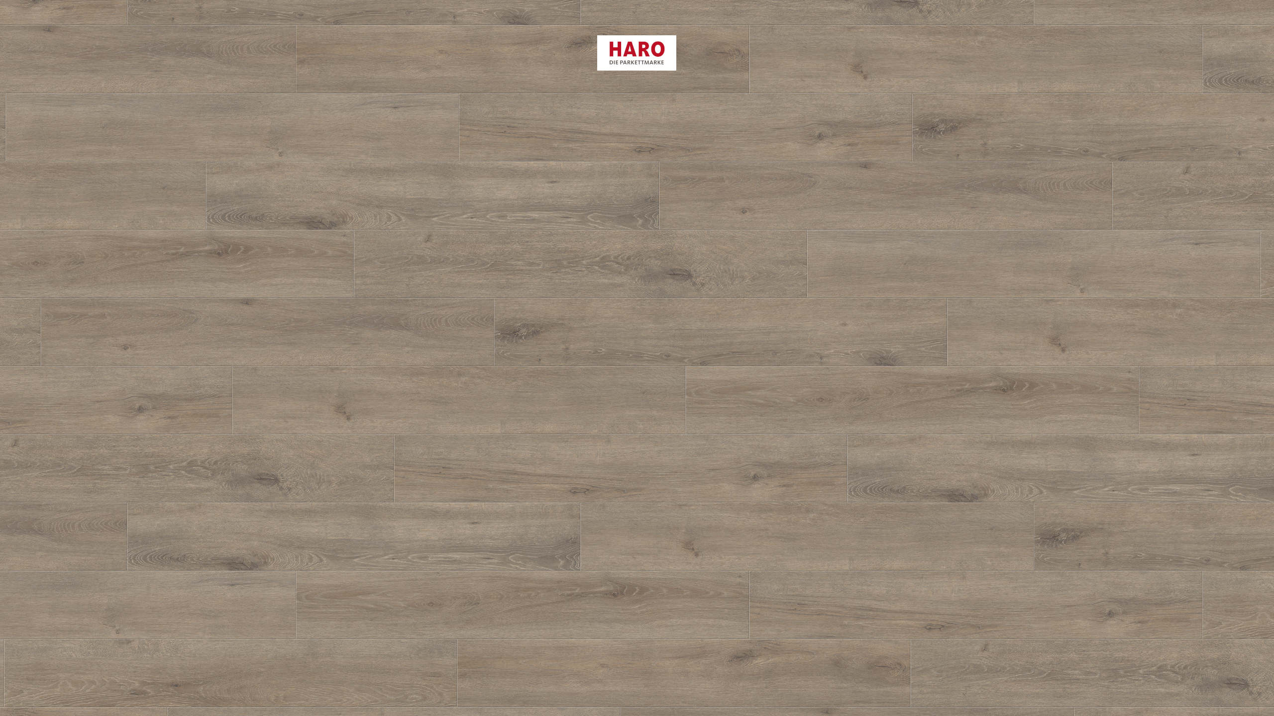HARO Laminatboden TRITTY 200 Aqua Landhausdiele 4V Eiche Veneto mocca* authentic matt Top Connect