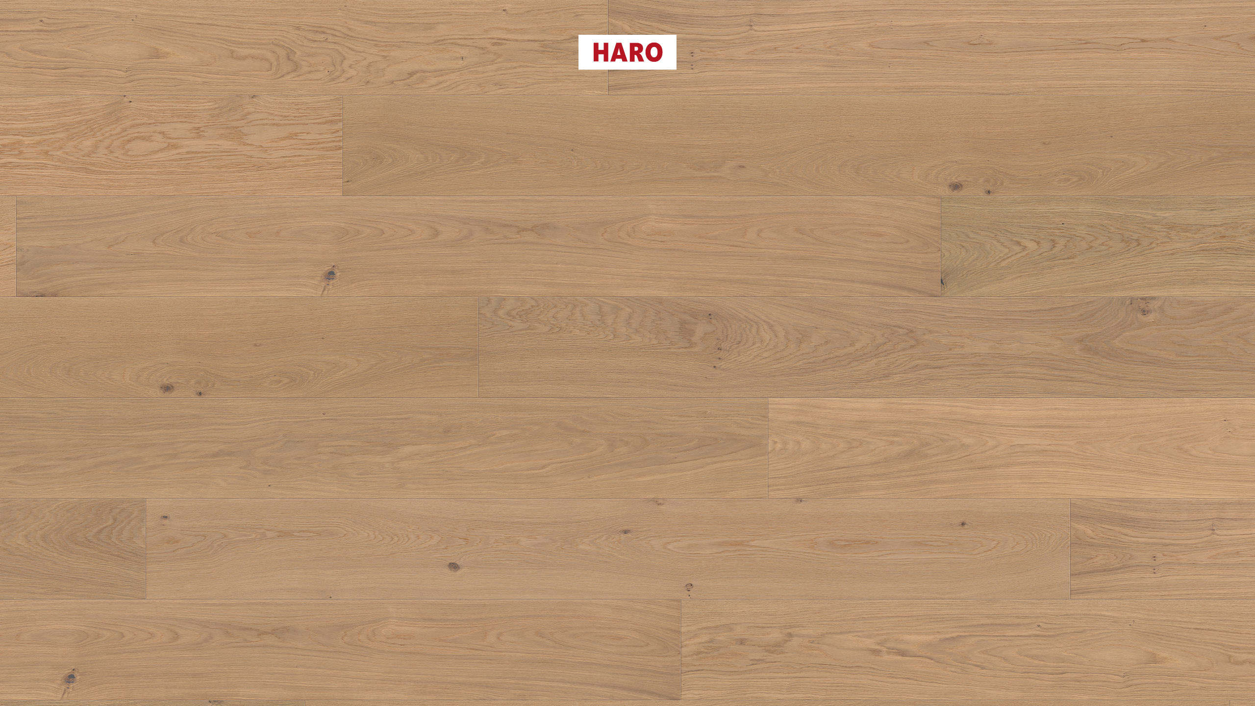 HARO PARKETT 4000 Landhausdiele Plaza 240 4V Eiche puroweiß Markant strukturiert naturaLin plus Top Connect