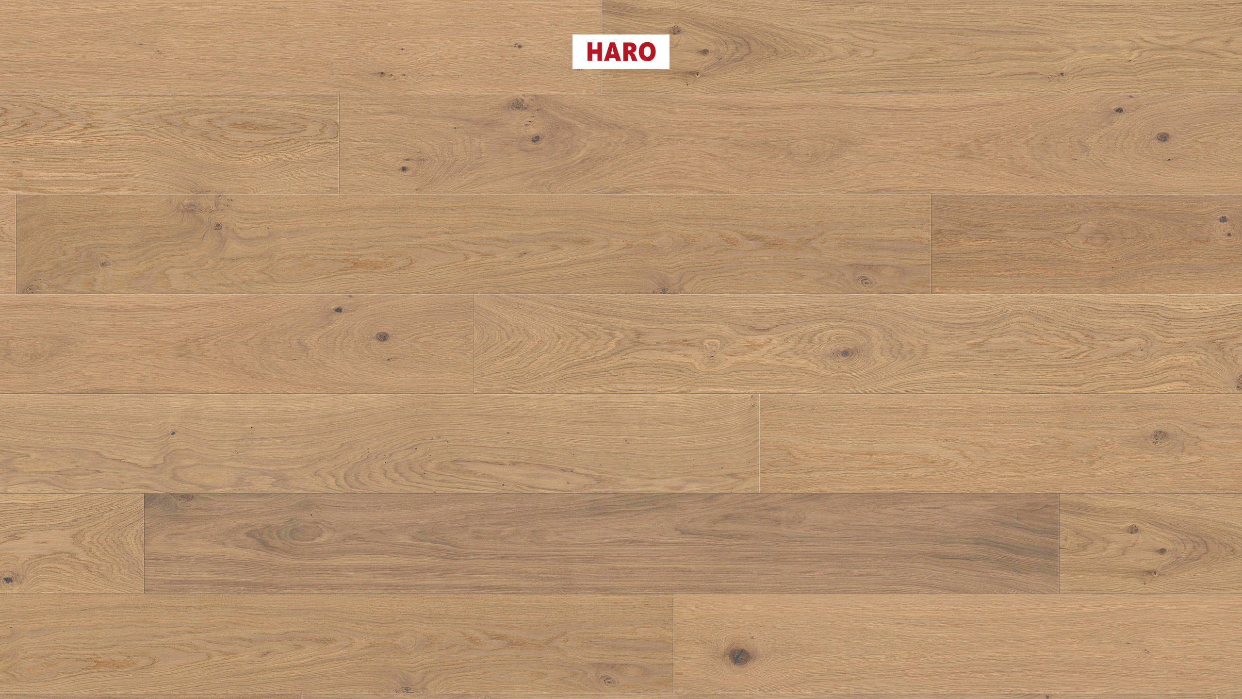 HARO PARKETT 4000 Landhausdiele Plaza 240 4V Eiche puroweiß Sauvage strukturiert naturaLin plus Top Connect