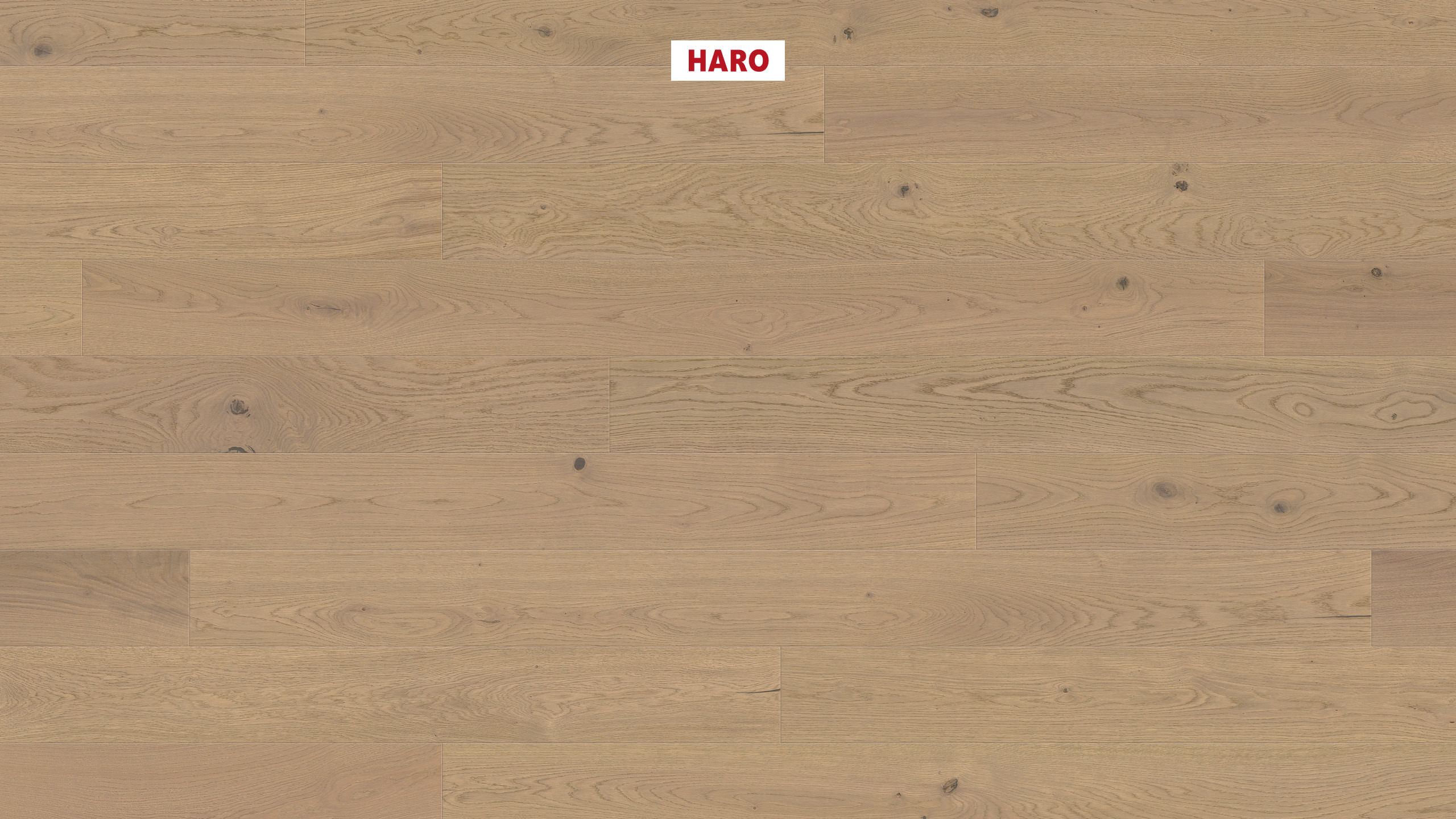 HARO PARKETT 4000 Landhausdiele 180 4V Eiche sandgrau Sauvage strukturiert naturaLin plus Top Connect