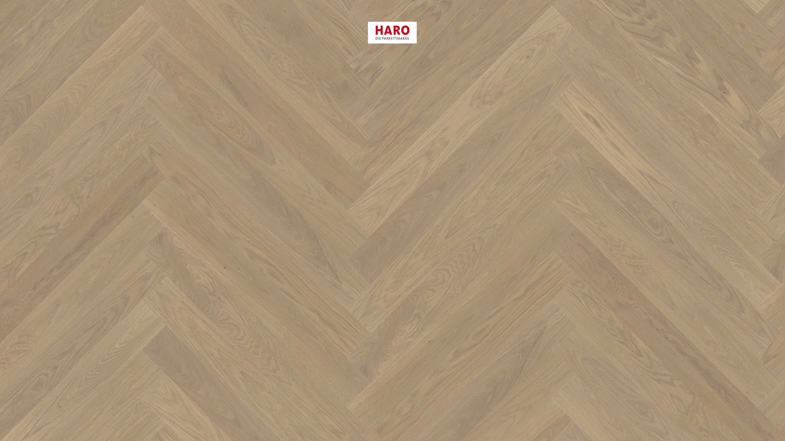 HARO PARKETT 4000 Landhausdiele Prestige Eiche sandgrau Markant strukturiert naturaDur Nut & Feder