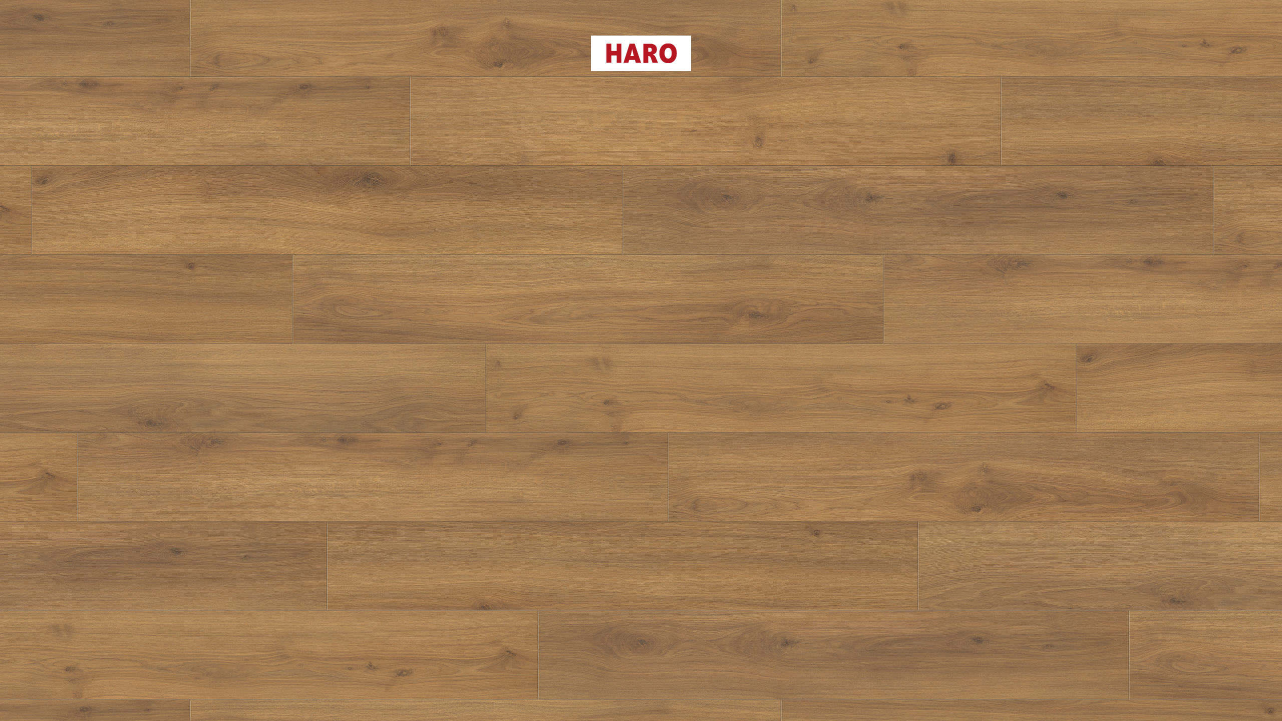 HARO Laminatboden TRITTY 200 Aqua Landhausdiele 4V Eiche Emilia Honig* authentic soft Silent Pro Top Connect
