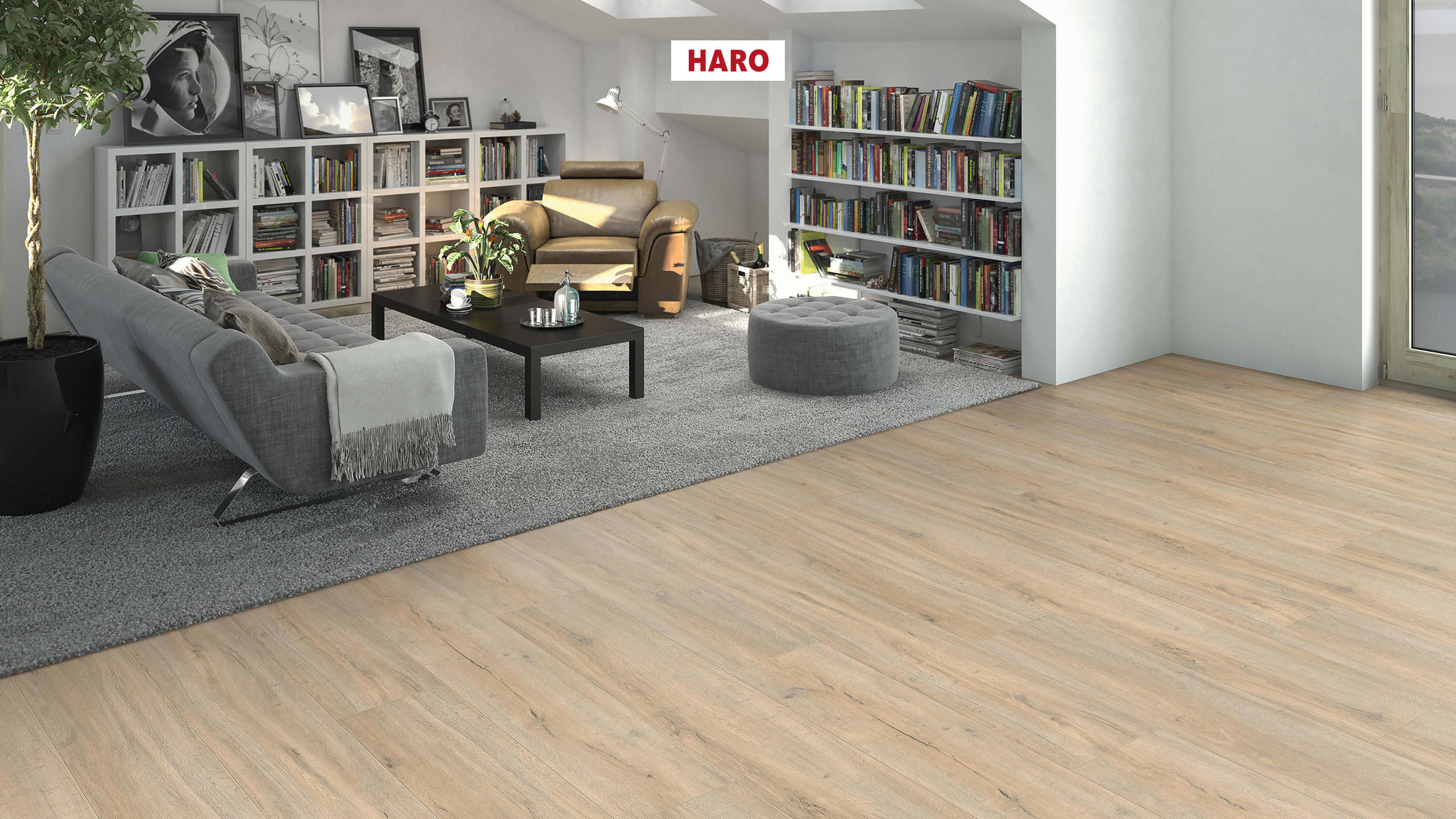 DISANO by HARO LifeAqua Landhausdiele XL 4V Eiche Jubilé* strukturiert Top Connect