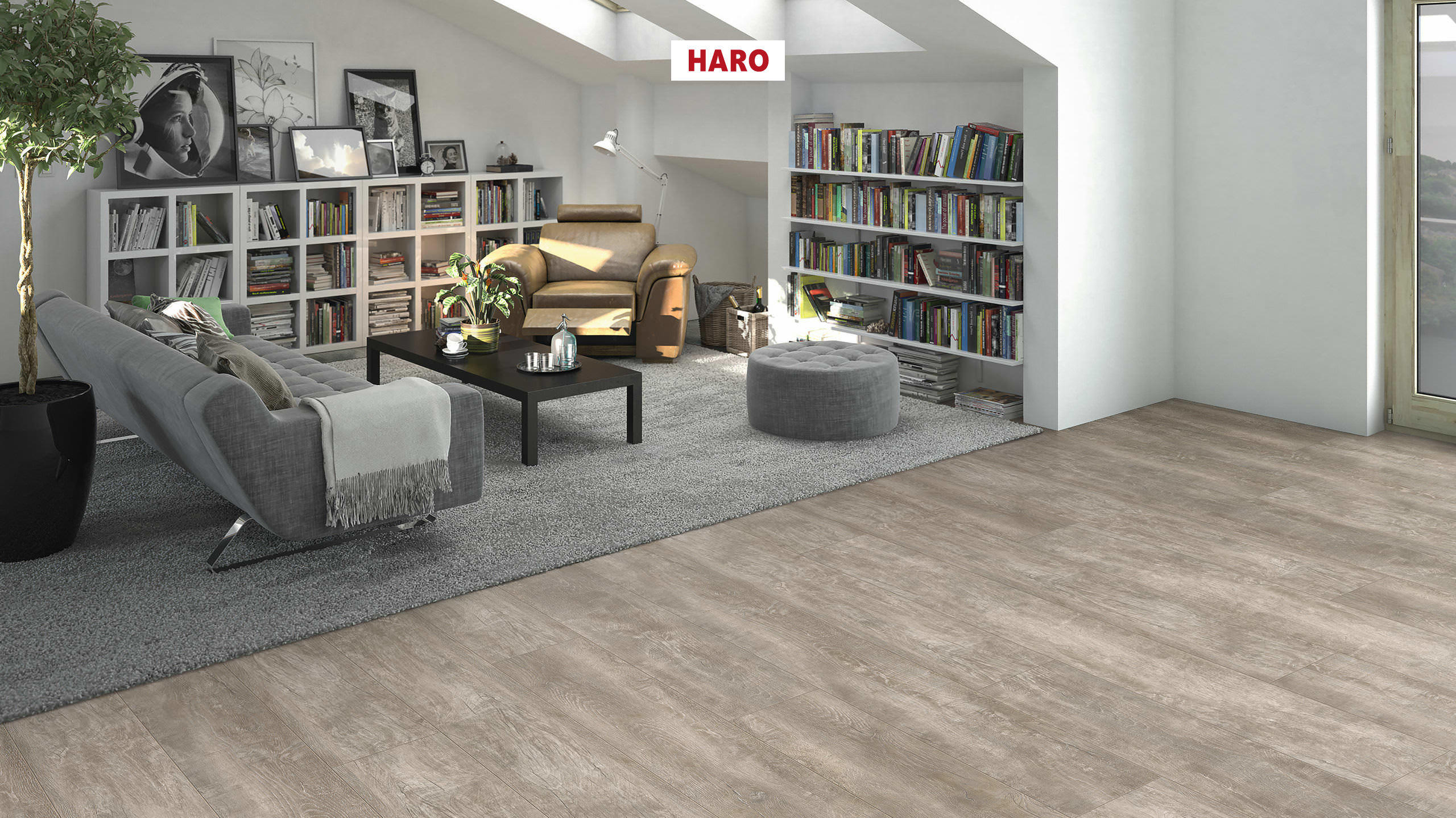 DISANO by HARO LifeAqua Landhausdiele XL 4V Antikeiche creme* rustikal strukturiert Top Connect