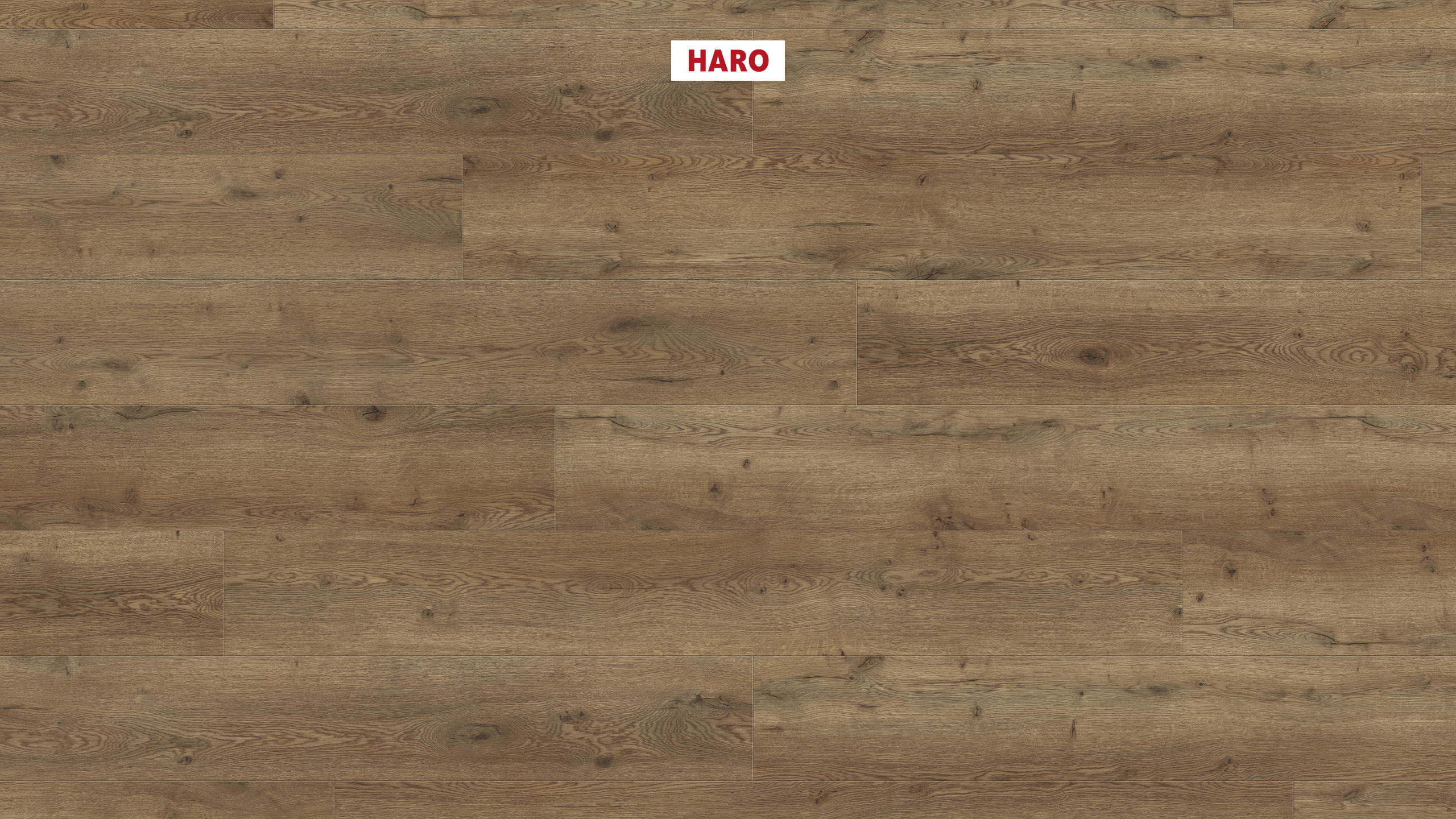 DISANO by HARO LifeAqua Landhausdiele XL 4V Eiche Oxford* strukturiert Top Connect