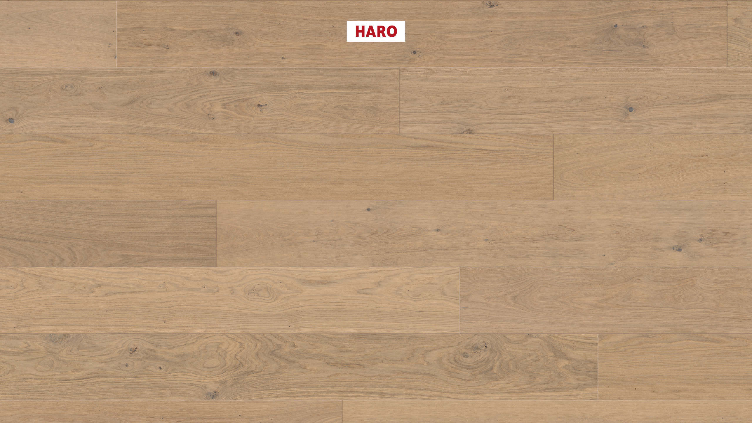 HARO PARKETT 4000 Landhausdiele Plaza 240 4V Eiche lichtweiß Sauvage strukturiert naturaLin plus Top Connect