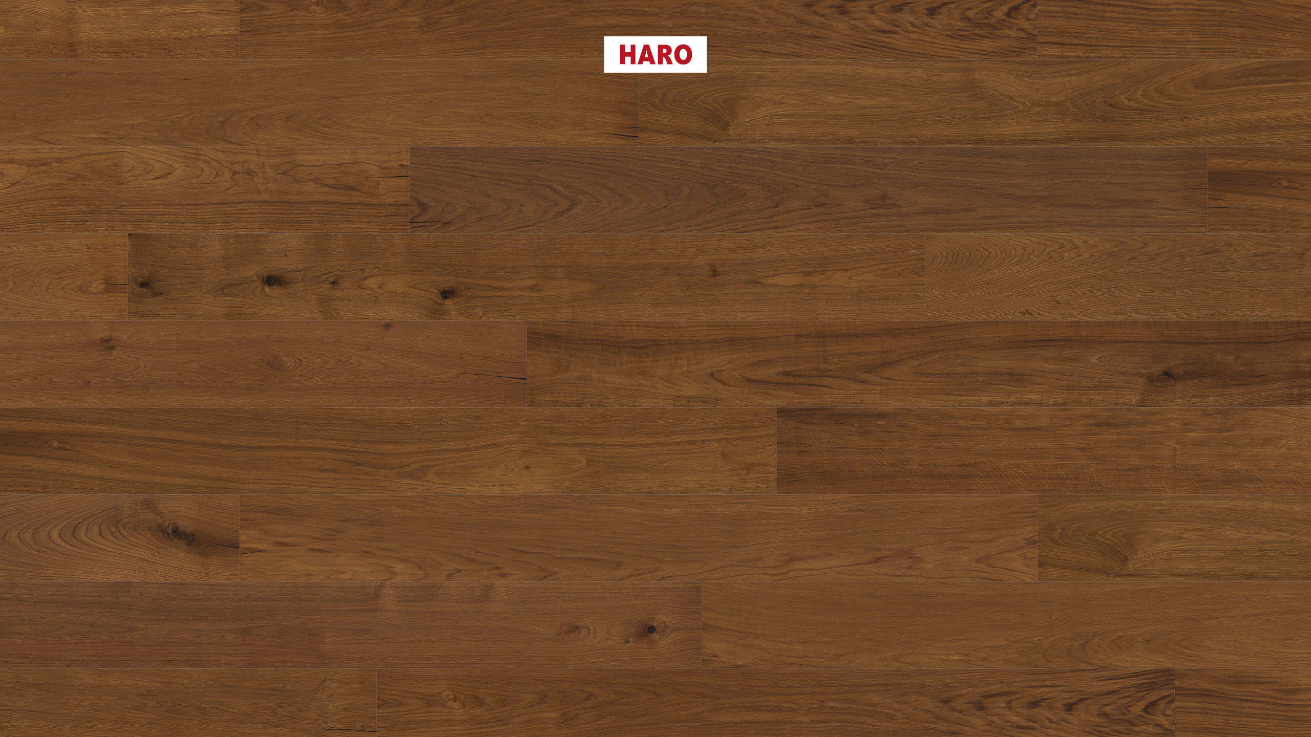 HARO PARKETT 4000 Landhausdiele Plaza 240 4V Bernsteineiche Sauvage strukturiert naturaDur Top Connect