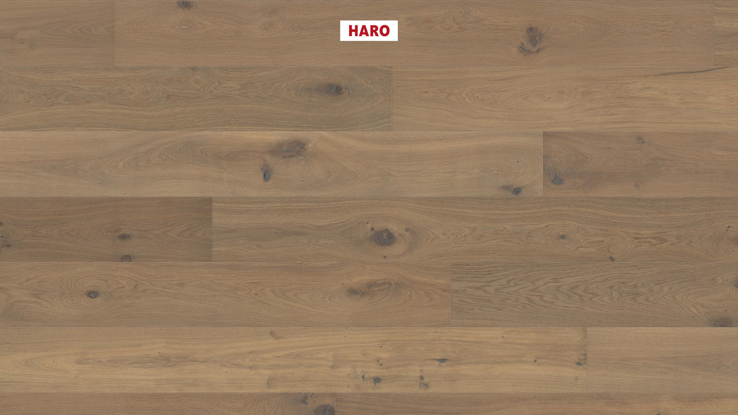 HARO PARKETT 4000 Landhausdiele Plaza 240 4V Raucheiche puroweiß Universal strukturiert naturaLin plus Top Connect
