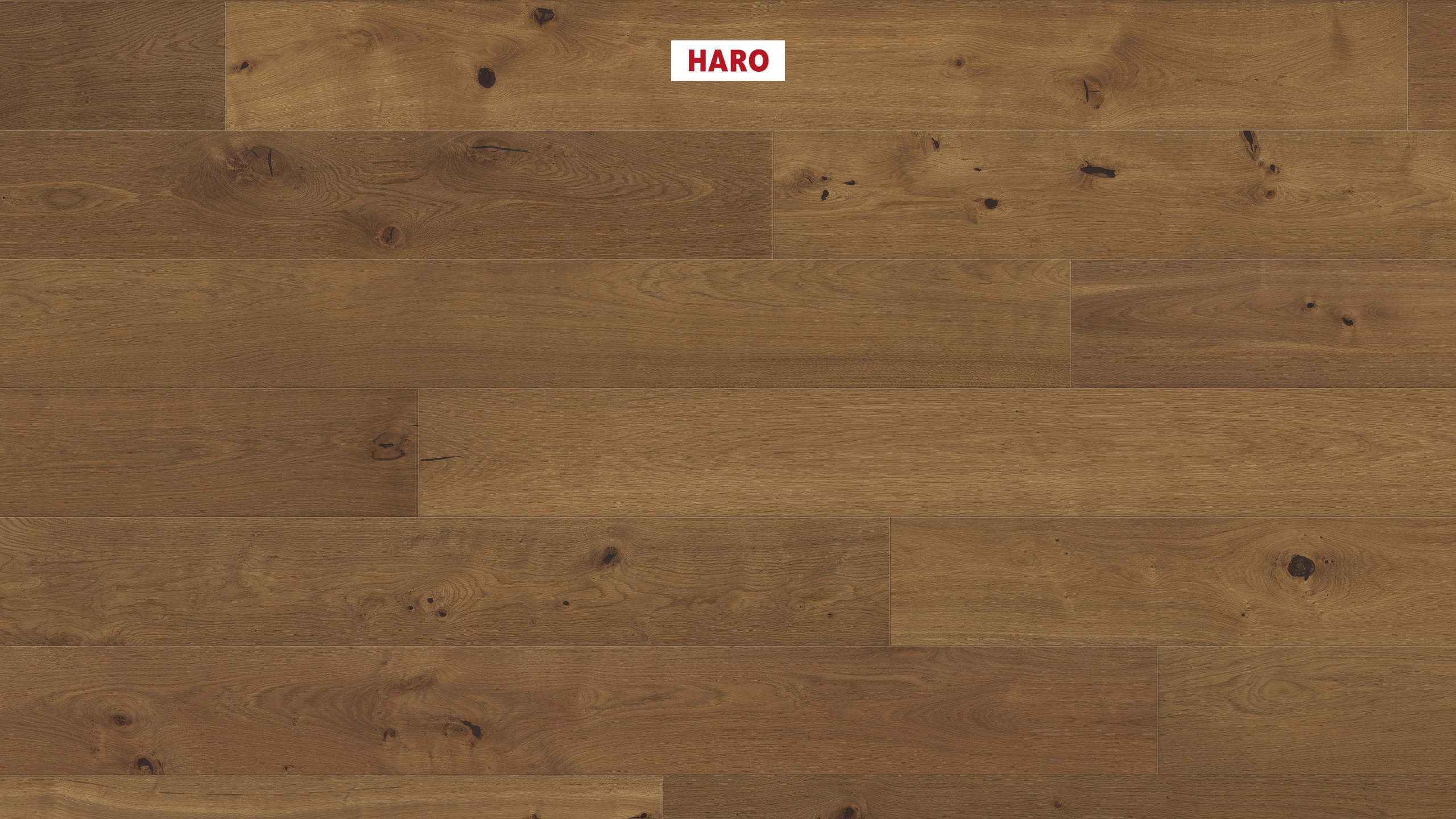 HARO PARKETT 4000 Landhausdiele Plaza 240 4V Raucheiche invisible Universal strukturiert naturaLin plus Top Connect