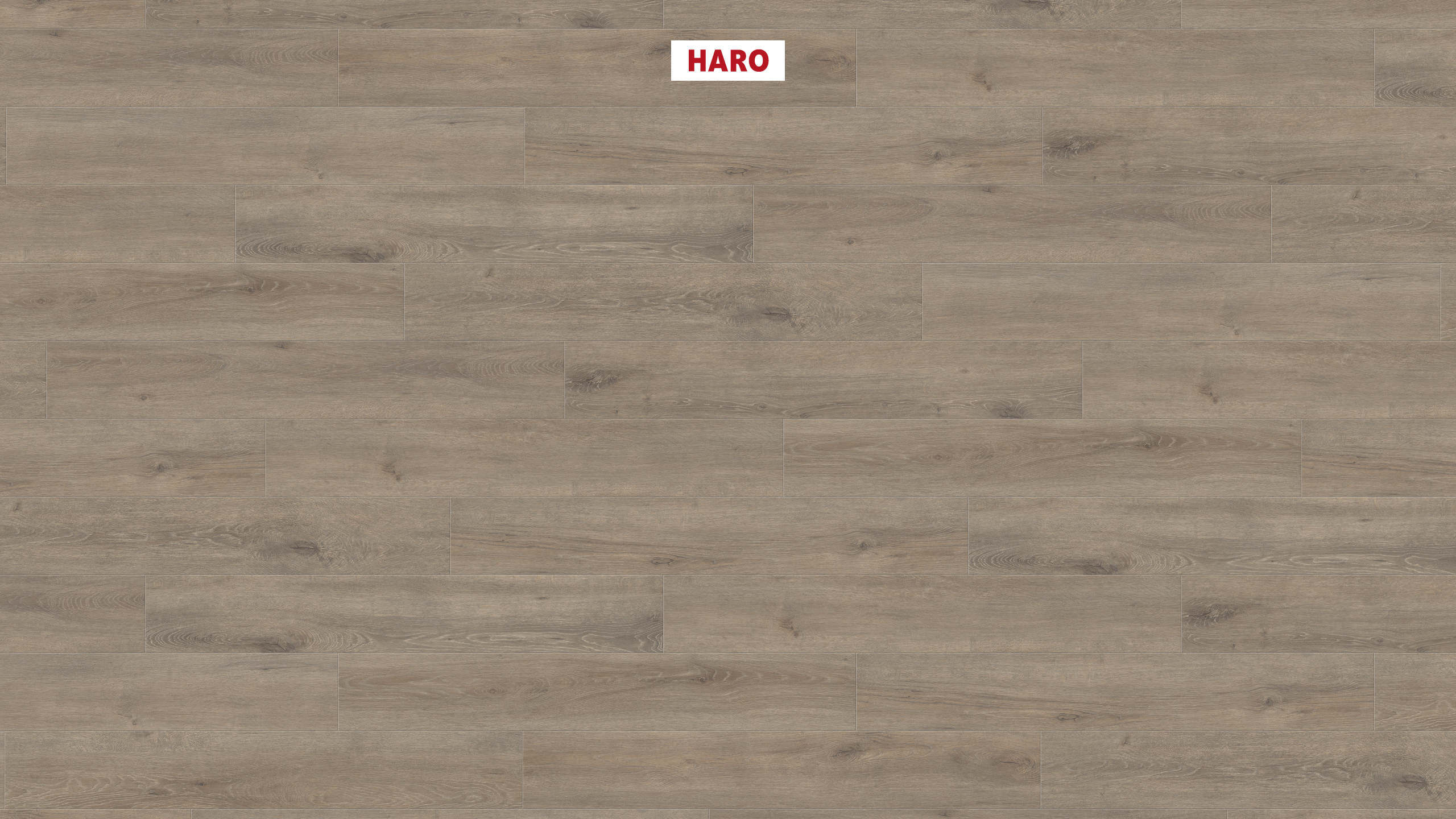 HARO Laminatboden TRITTY 100 Landhausdiele 4V Eiche Veneto mocca* authentic matt Top Connect