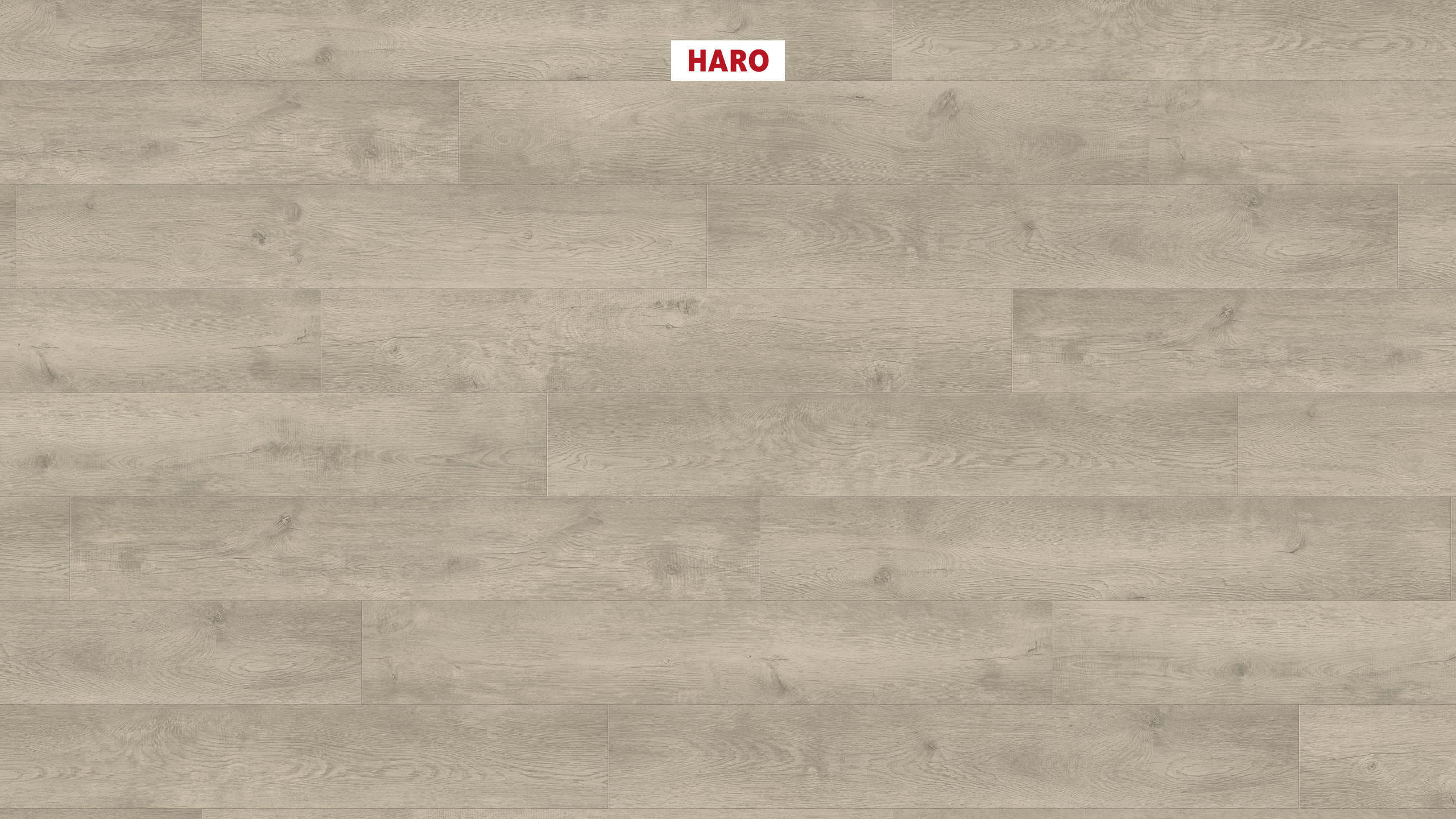 HARO Laminatboden TRITTY 100 Landhausdiele 4V Eiche Bergamo silbergrau* authentic soft Silent Pro Top Connect