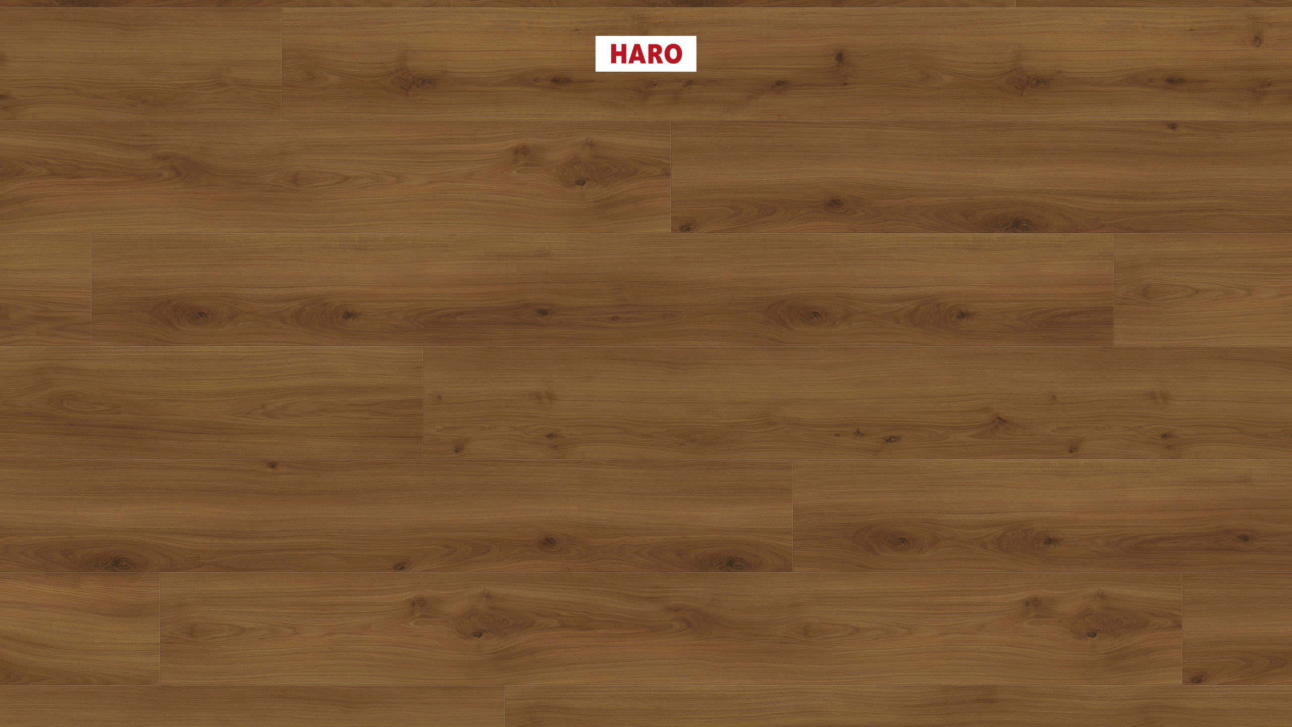 HARO Laminatboden TRITTY 100 Gran Via 4V Eiche Emilia bernstein* authentic soft Top Connect