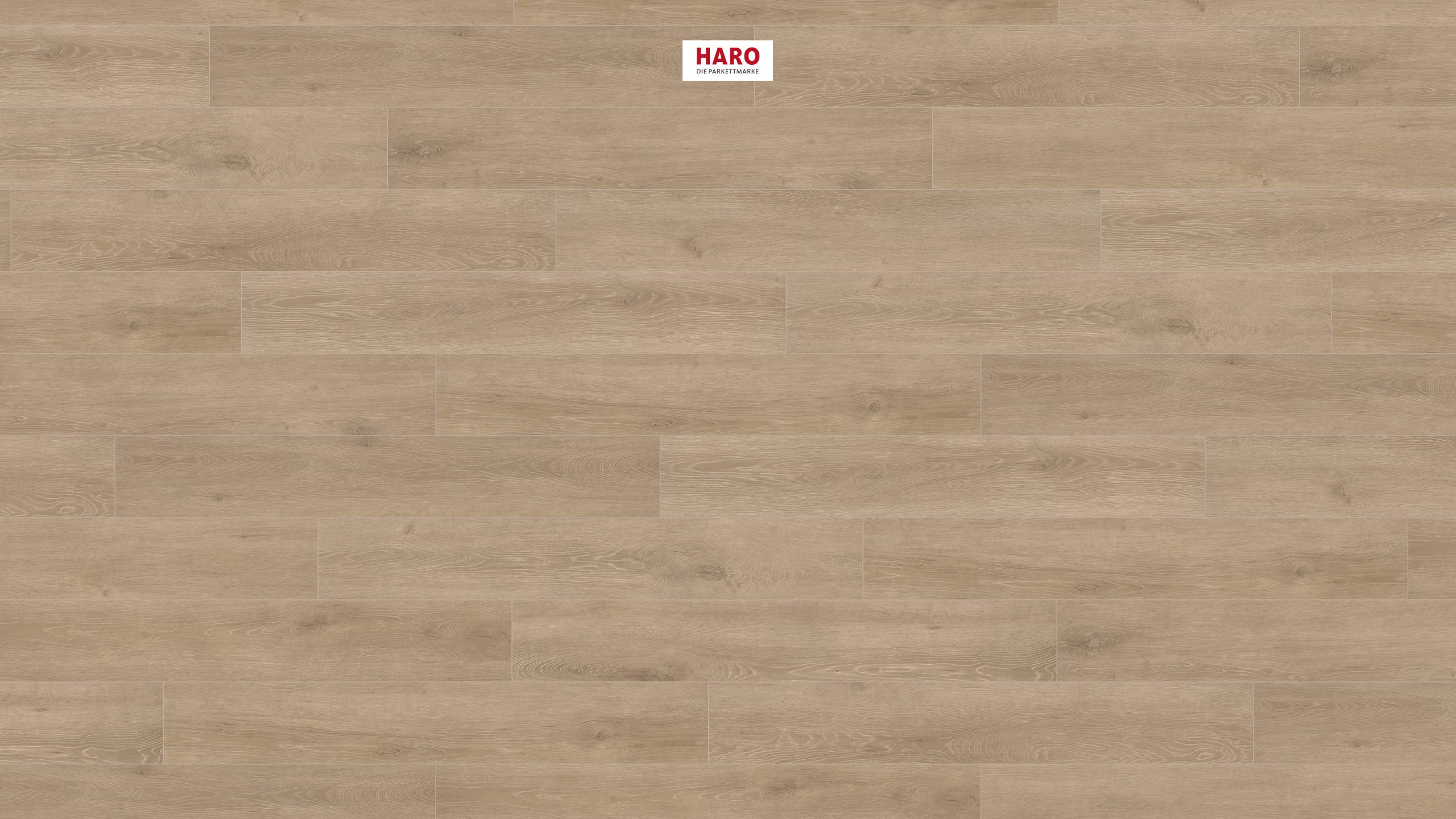 HARO Laminatboden TRITTY 200 Aqua Landhausdiele 4V Eiche Veneto crema* authentic matt Silent CT Top Connect