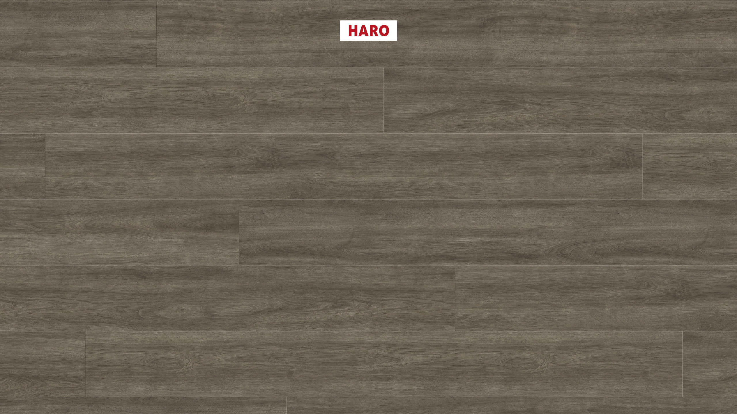 HARO Laminatboden TRITTY 200 Aqua Gran Via 4V Eiche Eleganza antikgrau* authentic Top Connect