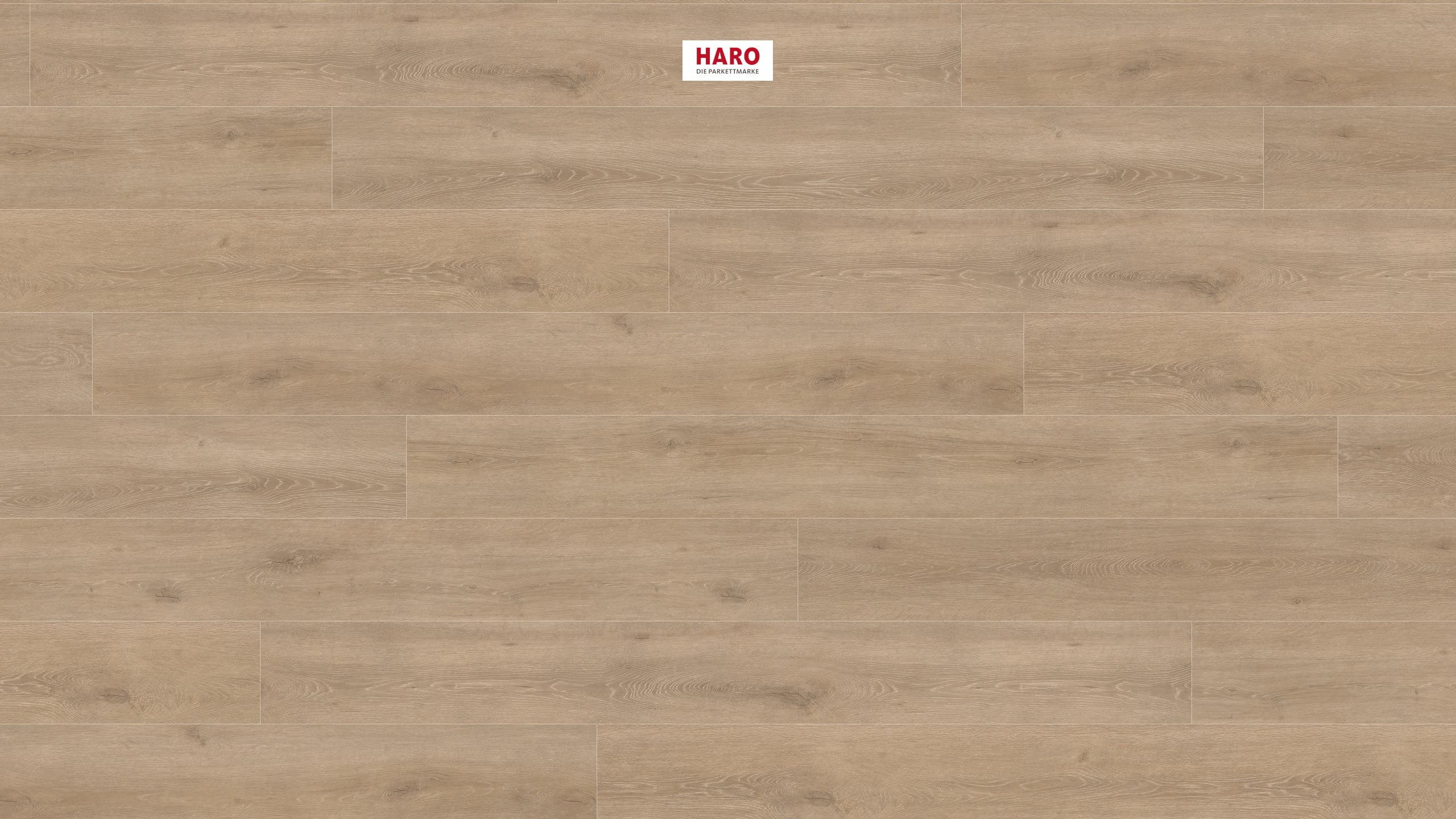 HARO Laminatboden TRITTY 200 Aqua Gran Via 4V Eiche Veneto crema* authentic matt Silent CT Top Connect