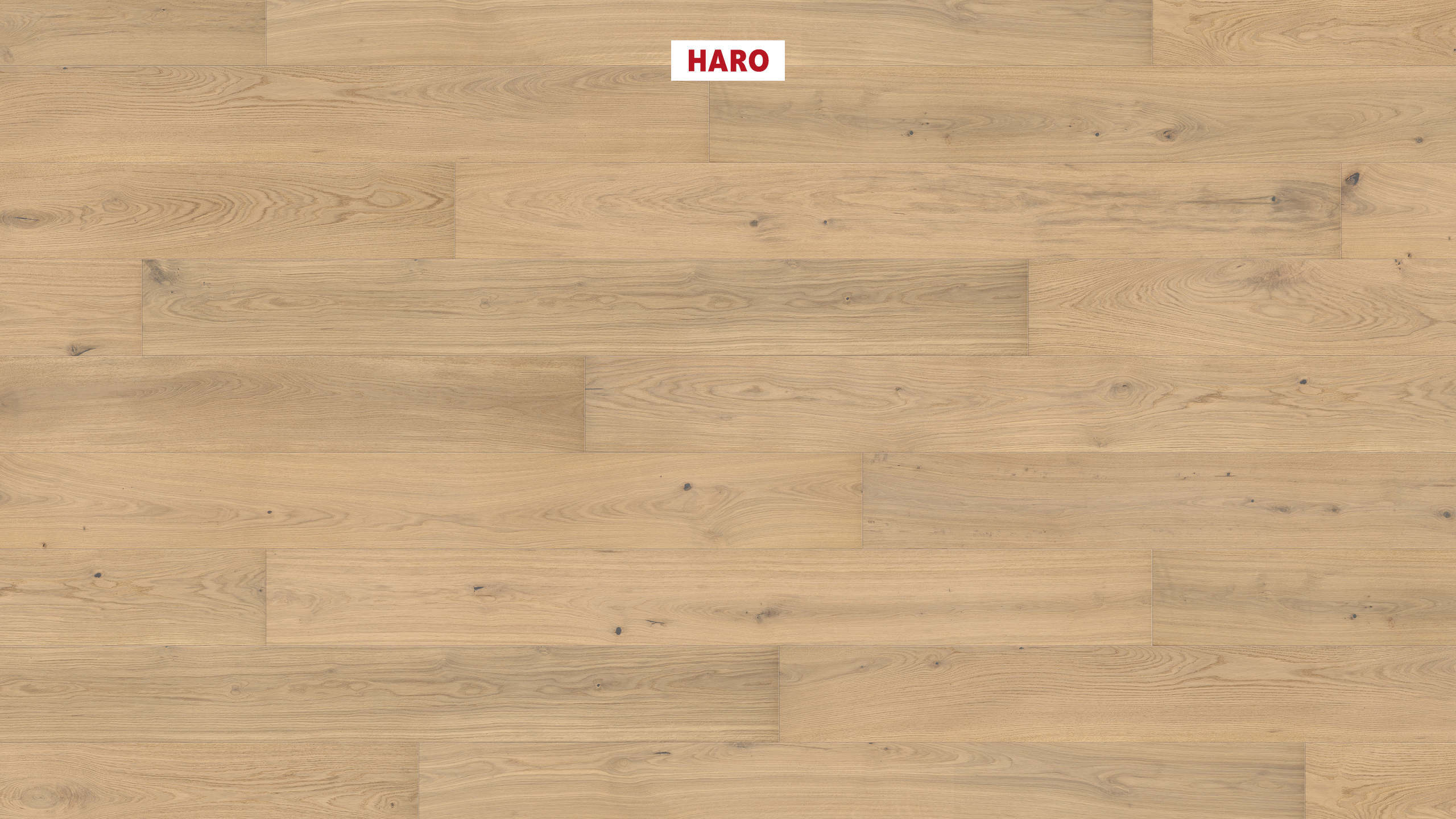 HARO PARKETT 4000 Landhausdiele Plaza 240 4V Eiche lichtweiß Markant strukturiert naturaDur Top Connect