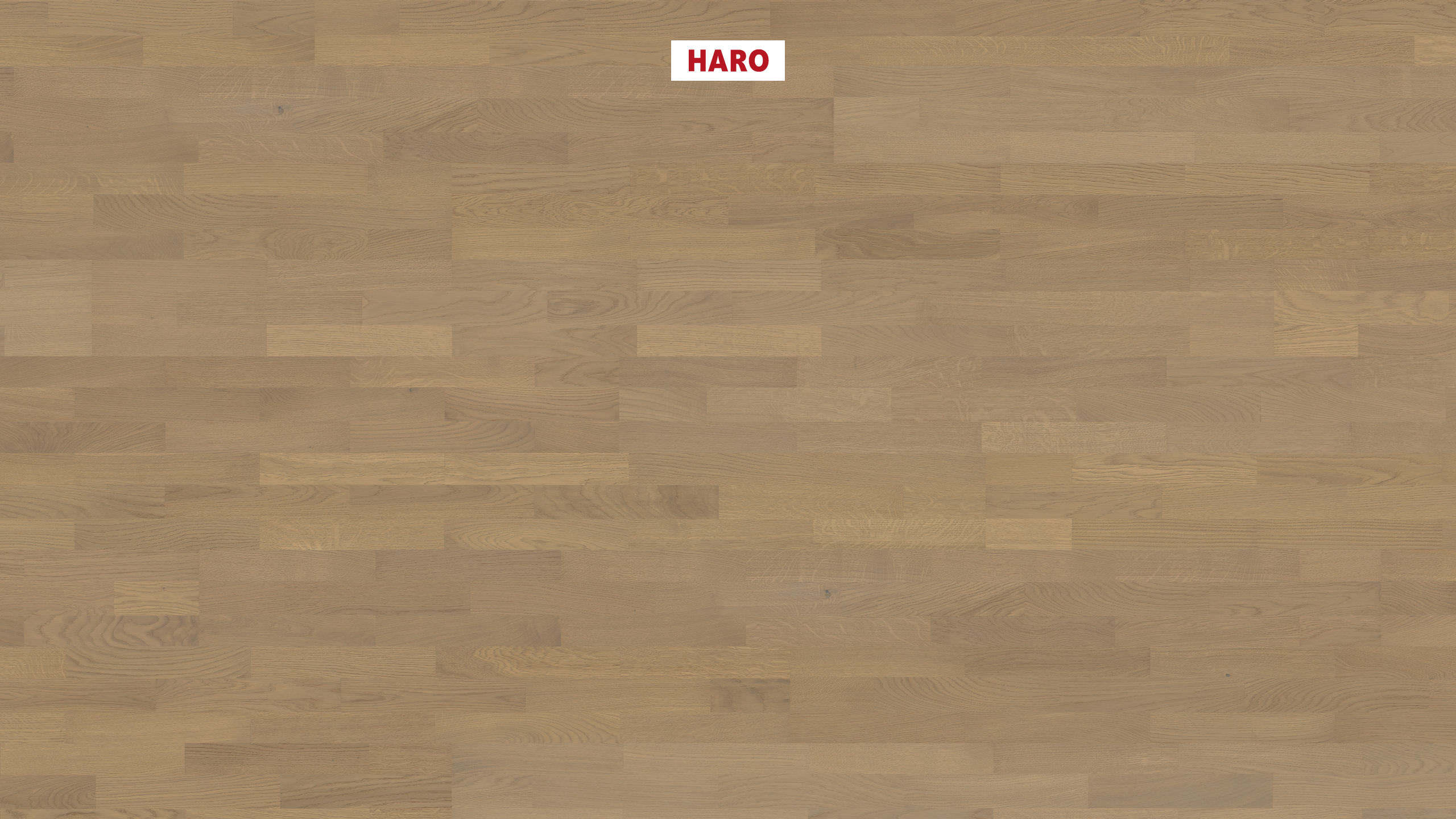 HARO PARKETT 4000 Schiffsboden Eiche sandgrau Naturale strukturiert permaDur Top Connect